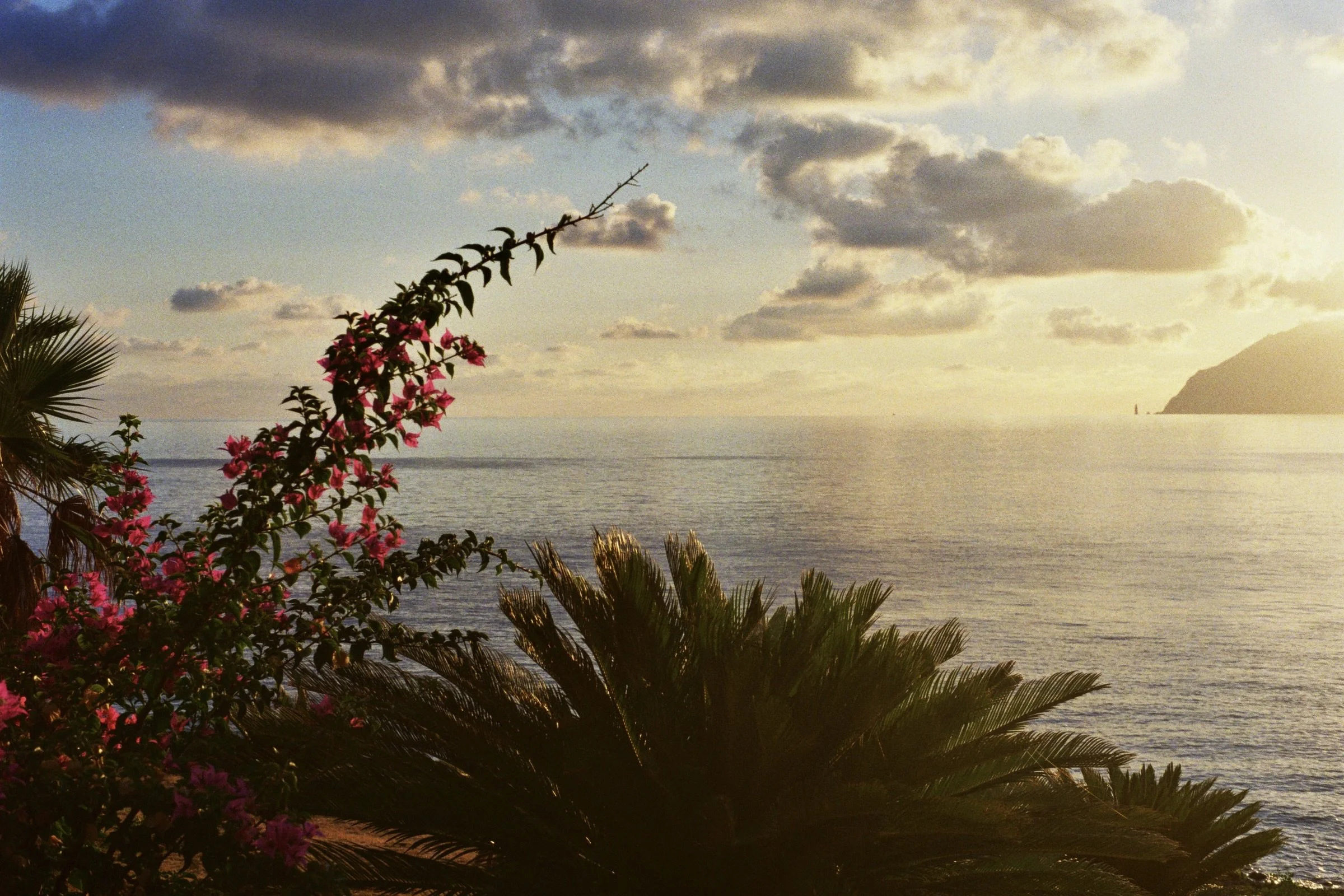 49A37991-A05D-4B1F-9228-3D83ADA48682_1_201_a.jpeg