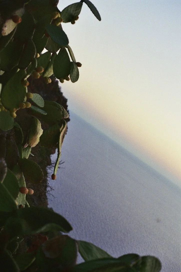 F1B44E7C-01D0-4D1A-A07B-9B9785389339_1_105_c.jpeg