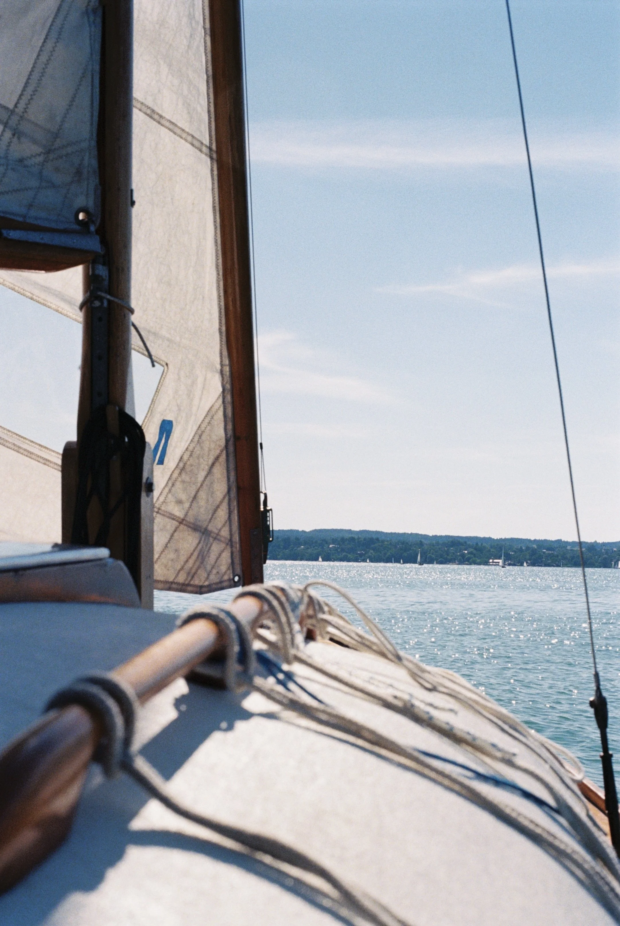 5D3BA567-F95C-4AE9-85F9-5F0C8A4E03EE_1_201_a.jpeg