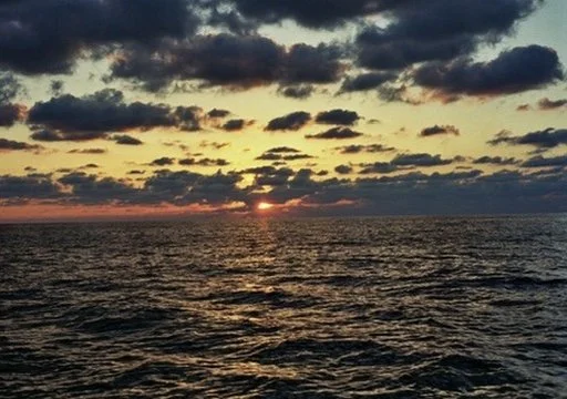 036E7A24-8FBD-4E89-A36E-1941F5186E5E_4_5005_c.jpeg