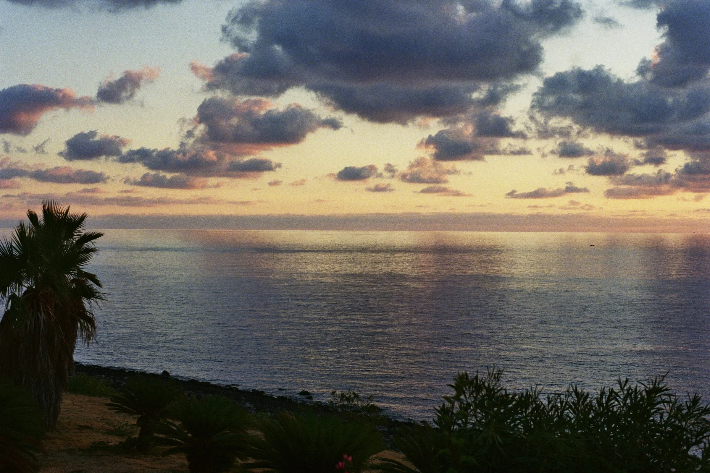 B7CE5366-A07E-46BF-B695-68E58C241AF5_1_201_a.jpeg