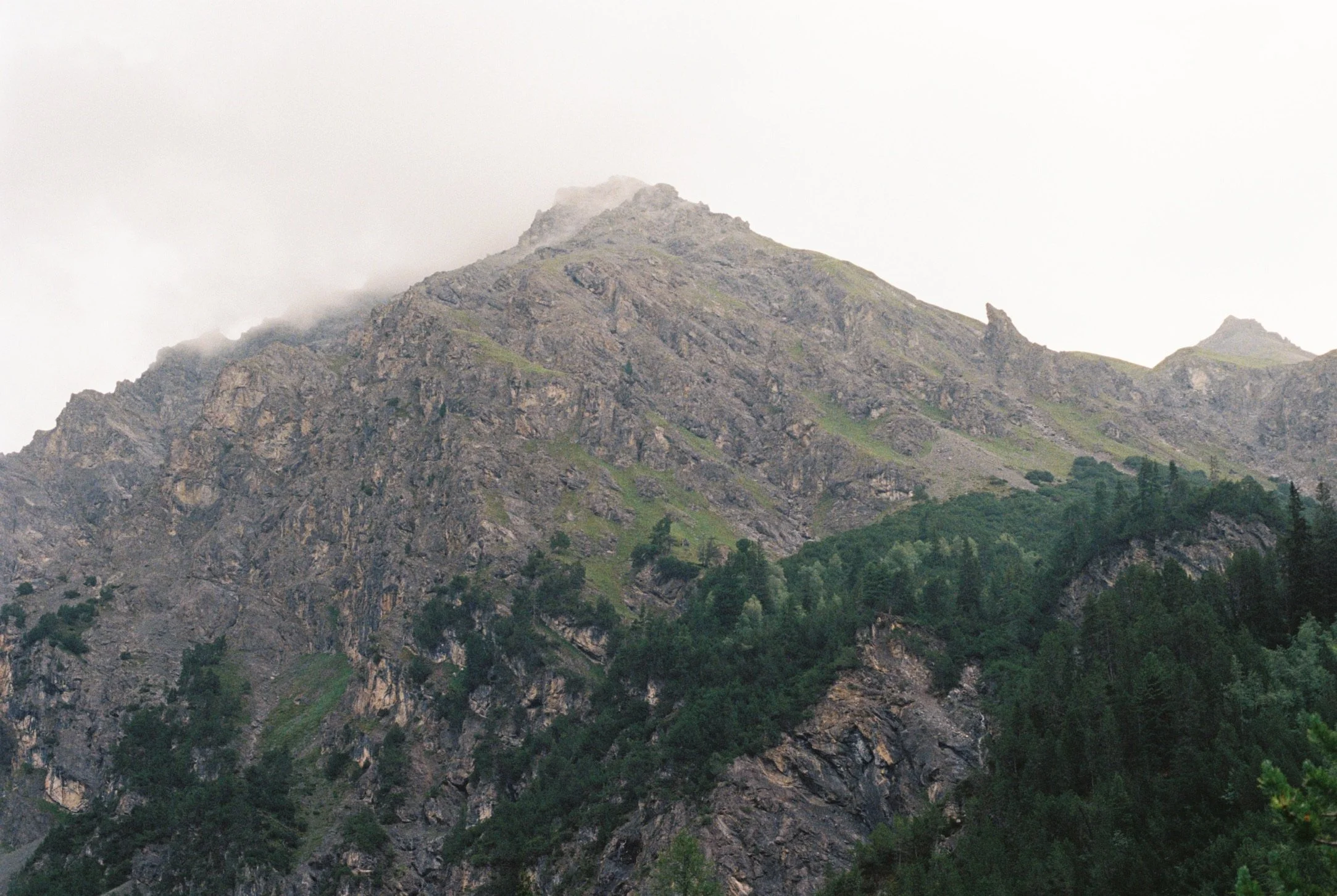 B8793F50-132C-491F-887B-5AB01527AEA5_1_102_o.jpeg