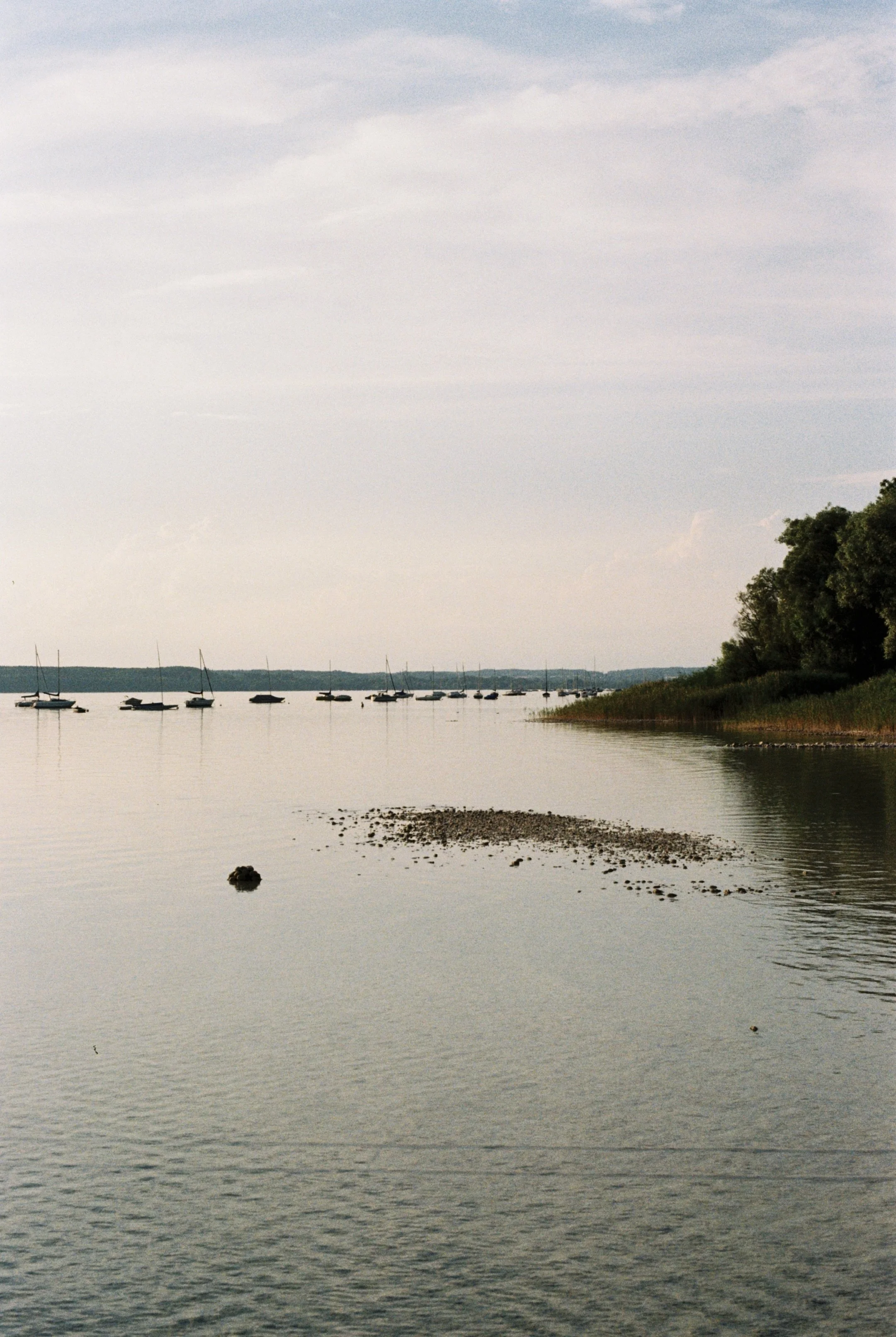 BB9F4E1D-D088-4179-9035-FF3A48D34D62_1_201_a.jpeg