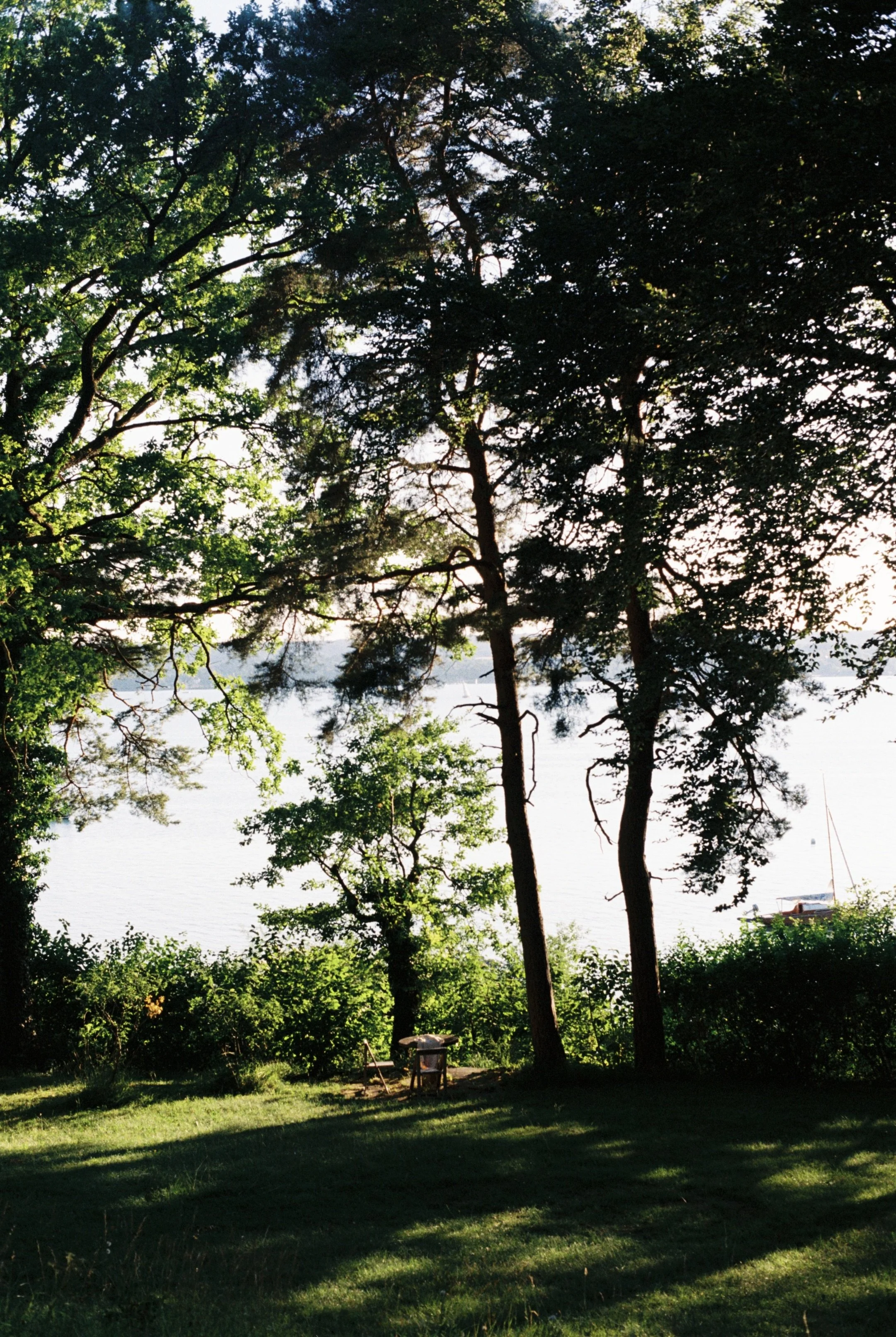 8D2D6619-92D9-4BFA-8D74-78A5D9C2747E_1_201_a.jpeg