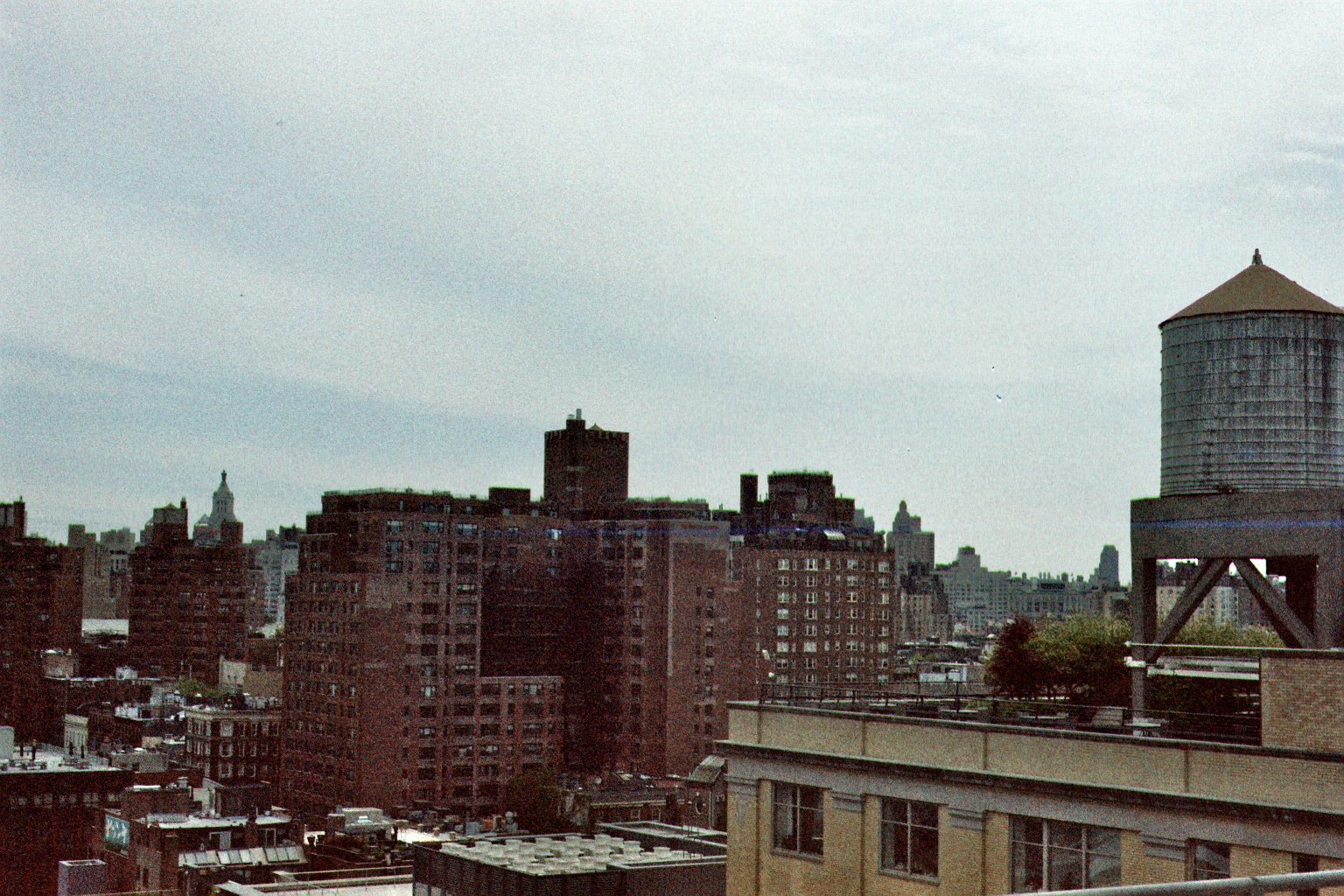 IMG_5449.jpeg