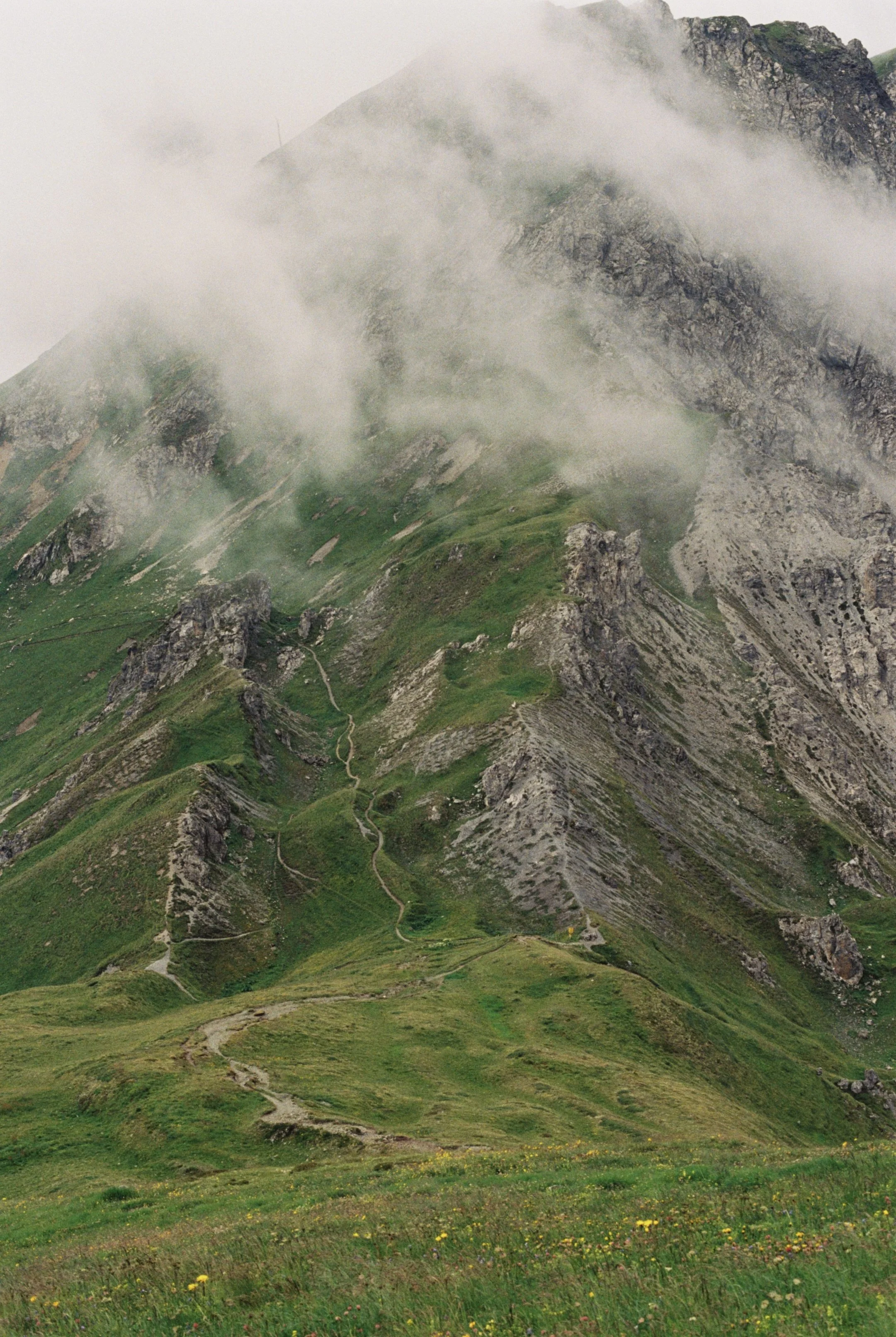 8952EB05-0951-4925-A63A-F75C3A8E4554_1_201_a.jpeg