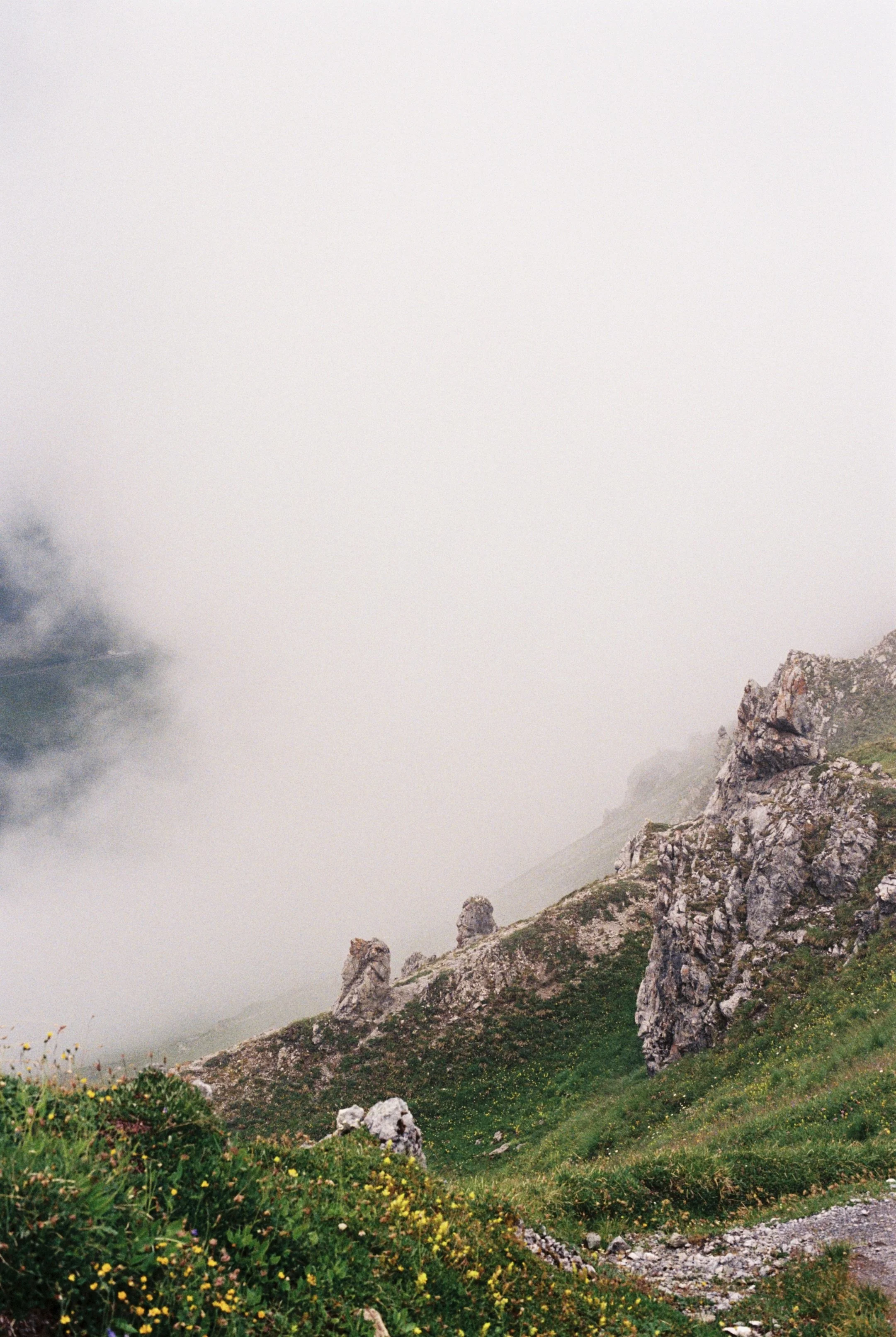 323E7EAD-119B-49C8-9FF4-8D6E10FE0830_1_201_a.jpeg