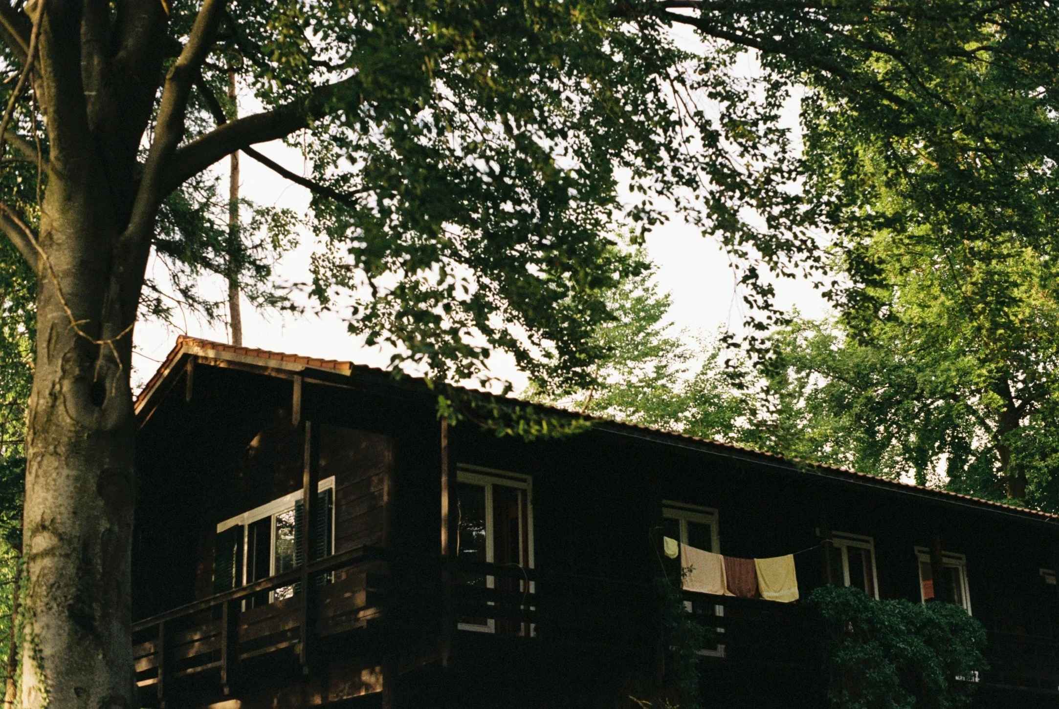 755557FF-DBAD-4D52-A8AC-913704333A89_1_102_o.jpeg