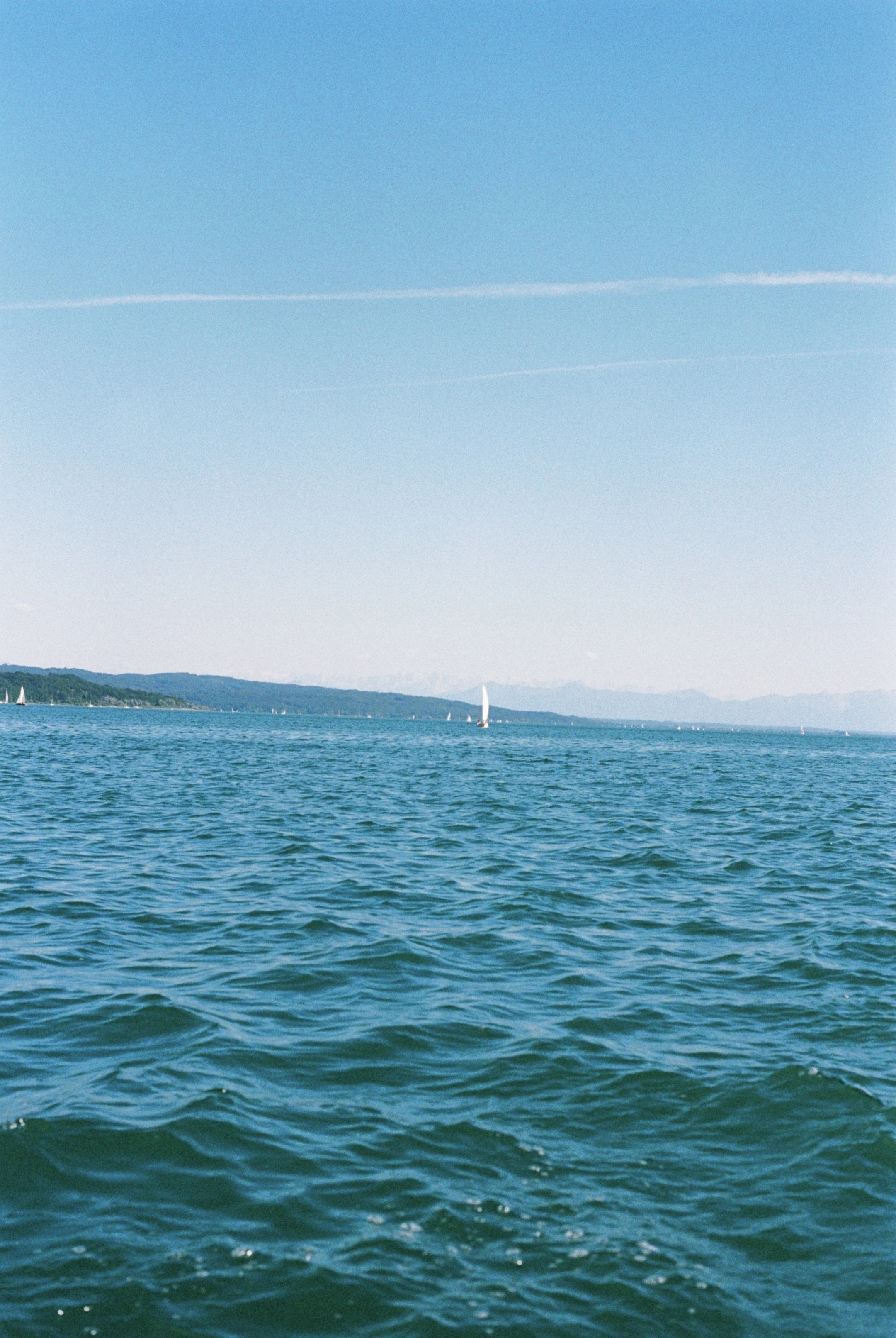 8CCDC331-1319-4F8B-BB6E-3A259EA11386_1_201_a.jpeg