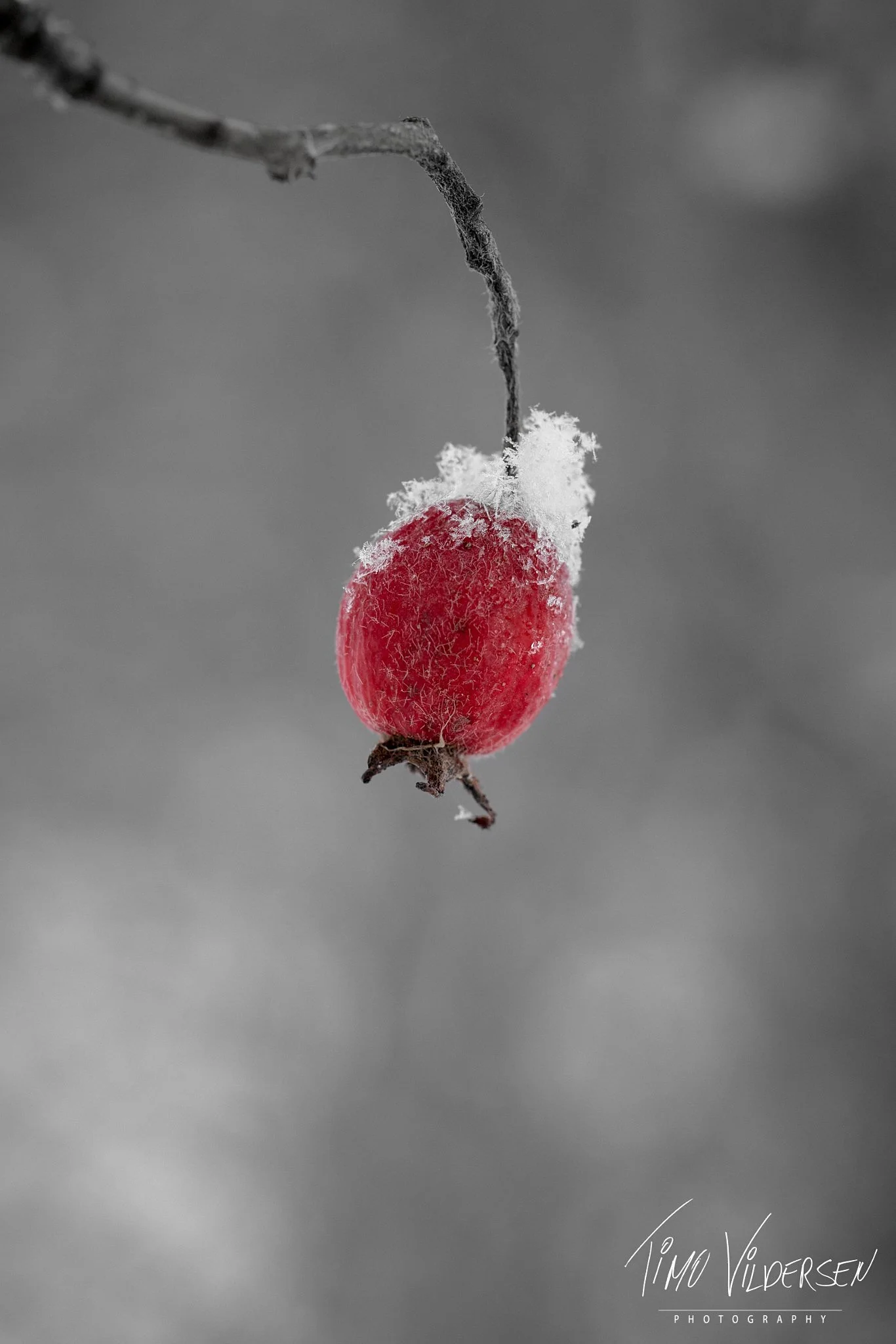 2026-01-03-2026-01-03-IMG_7492 1_web.jpeg