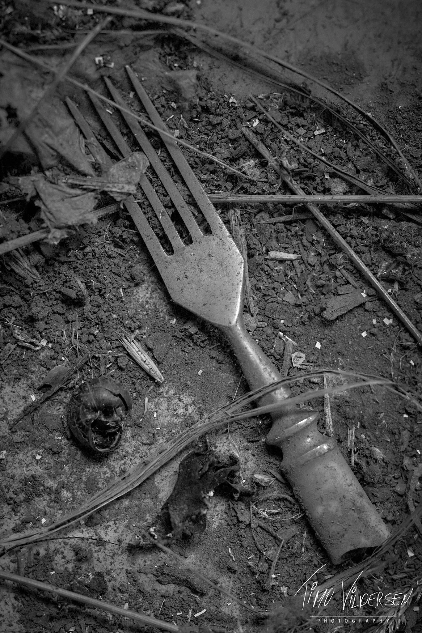 2026-01-03-2026-01-03-IMG_7467 1_web.jpeg