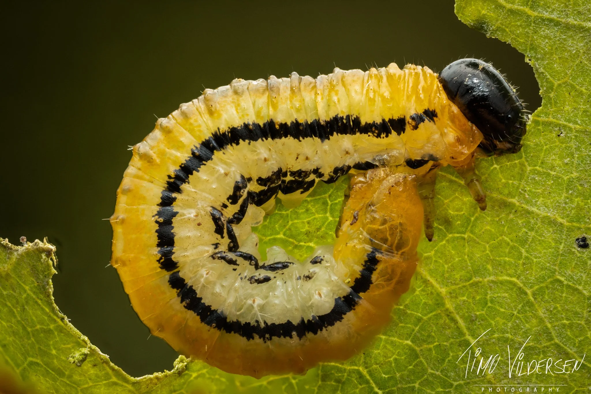 2025-08-21 21-07-33 (B,R8,S4)-Edit-2.jpeg