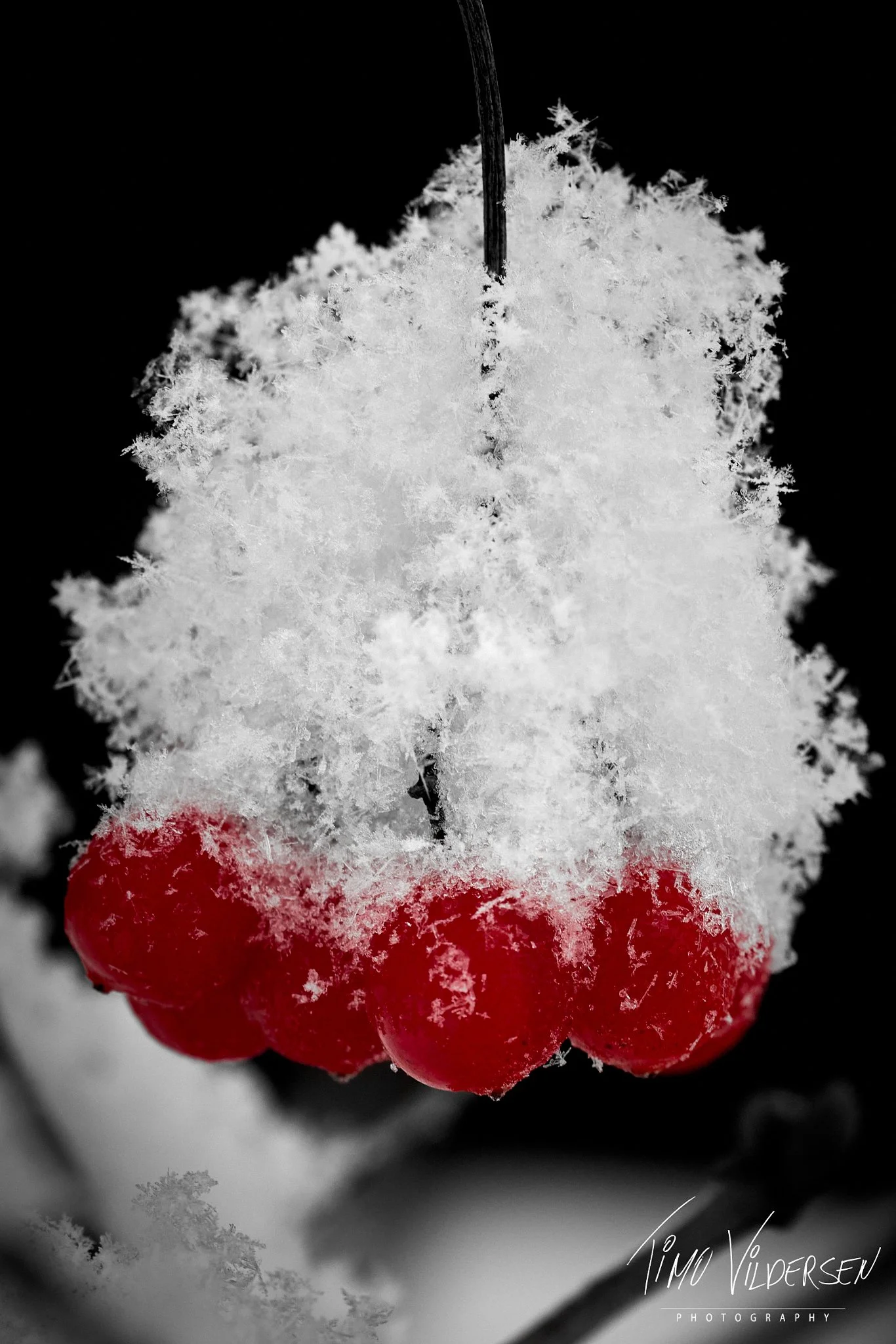 2026-01-03-2026-01-03-IMG_7515 1_web.jpeg