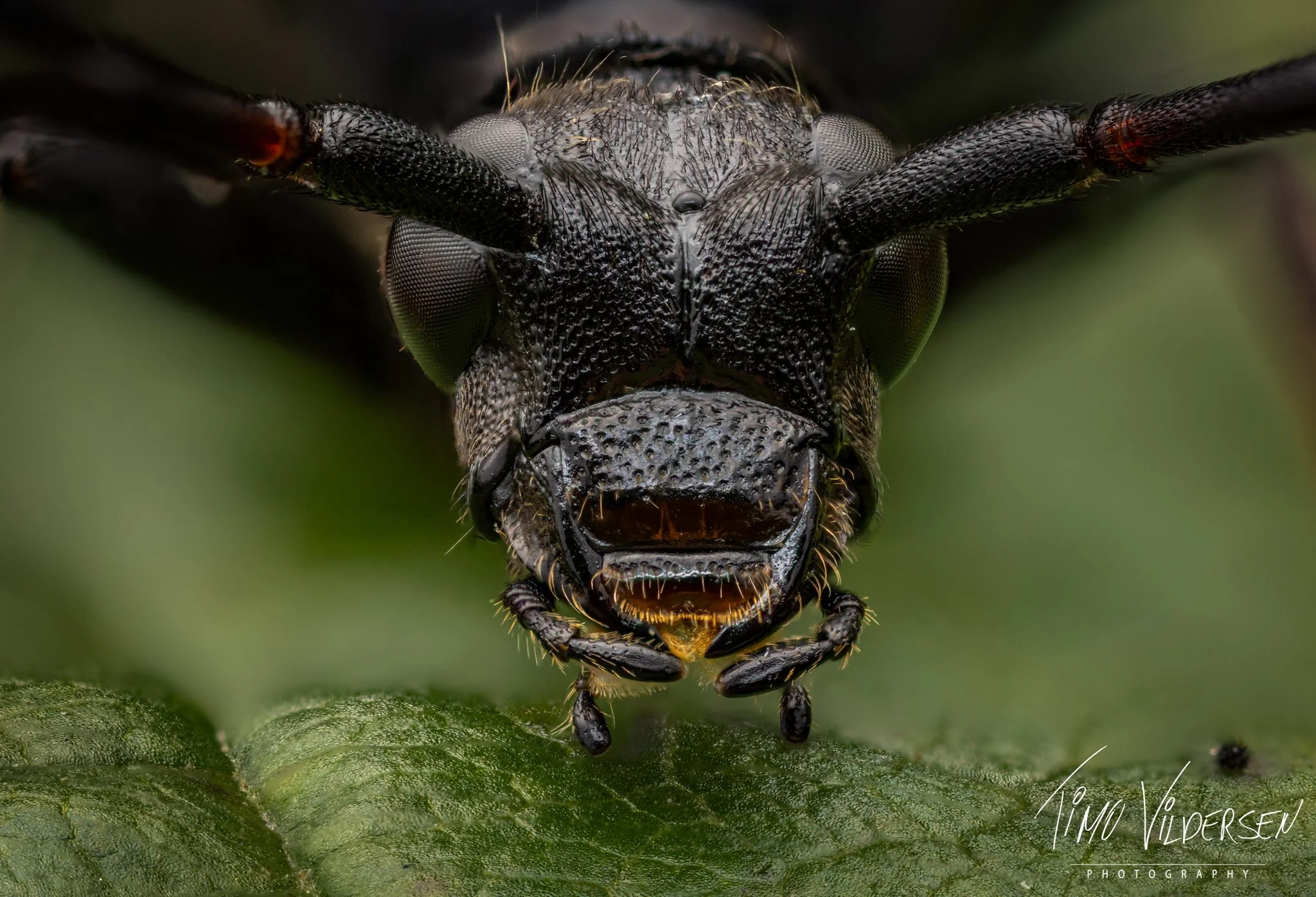 2025-08-23 20-01-09 (B,R8,S4)-Edit-2.jpeg