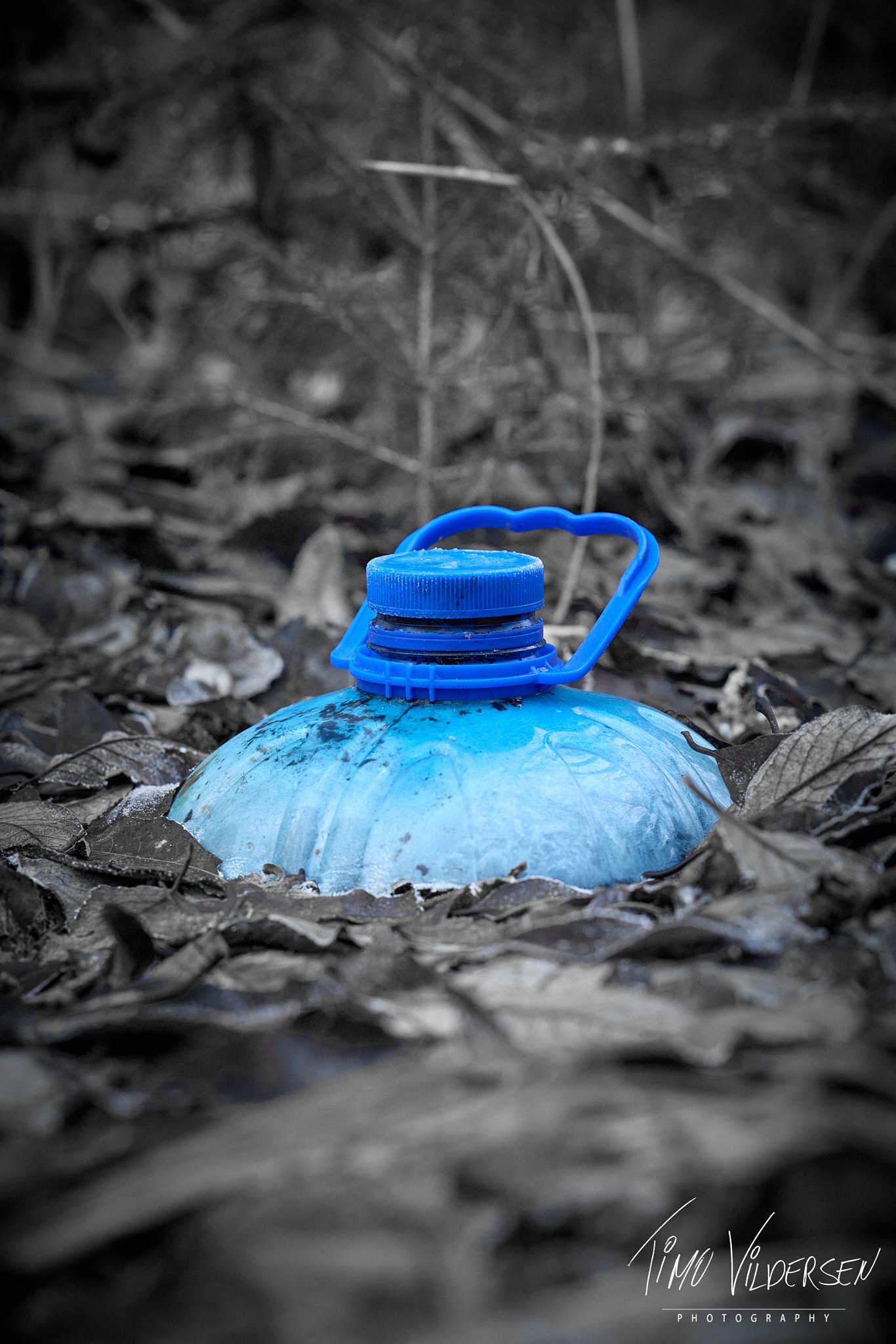 2025-12-13-IMG_7424 1_web.jpeg