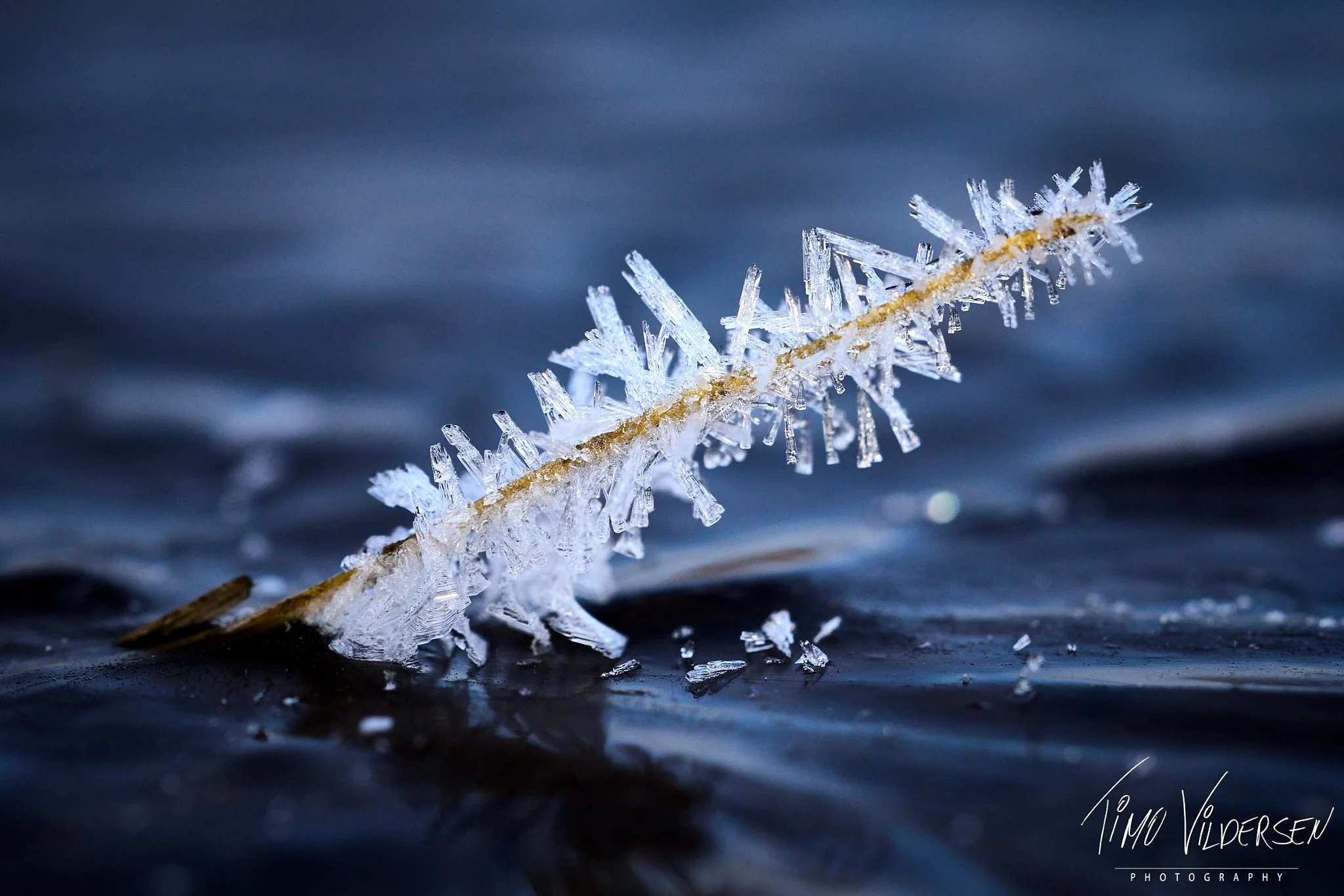 2025-12-13-IMG_7277 1_web.jpeg