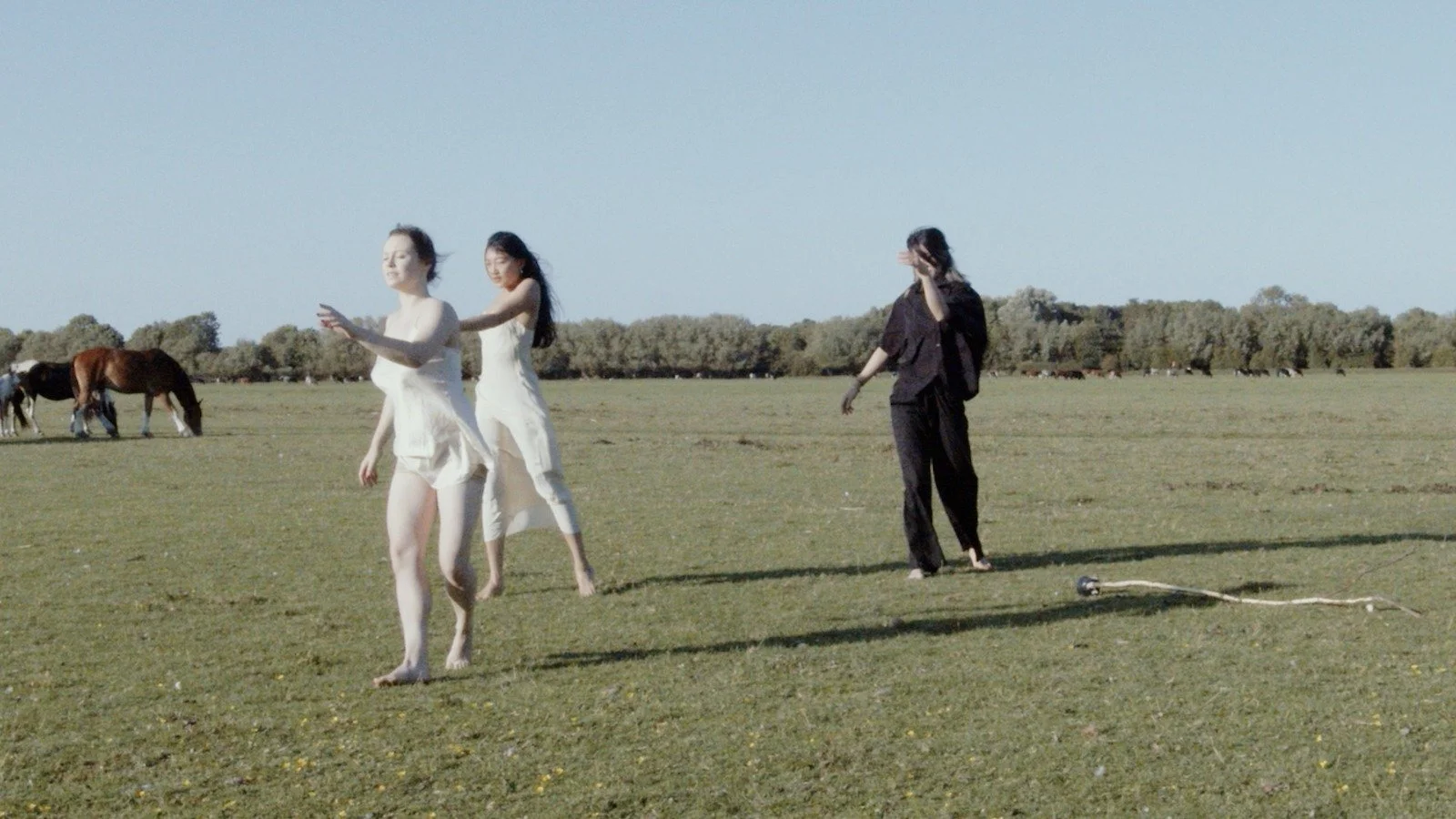 BEIMA collective. Bridging radical empathy.