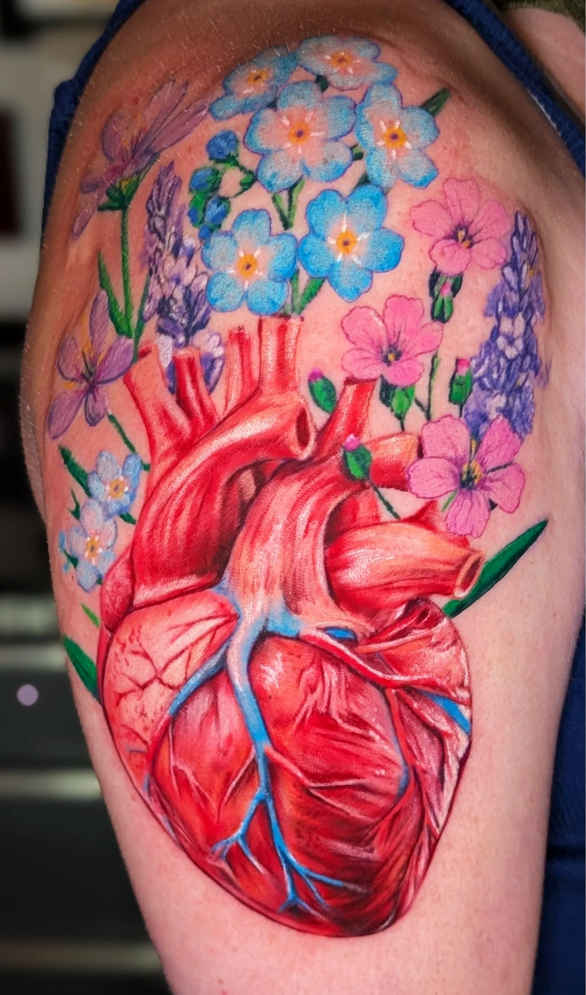 Anatomical Heart Realism Tattoo