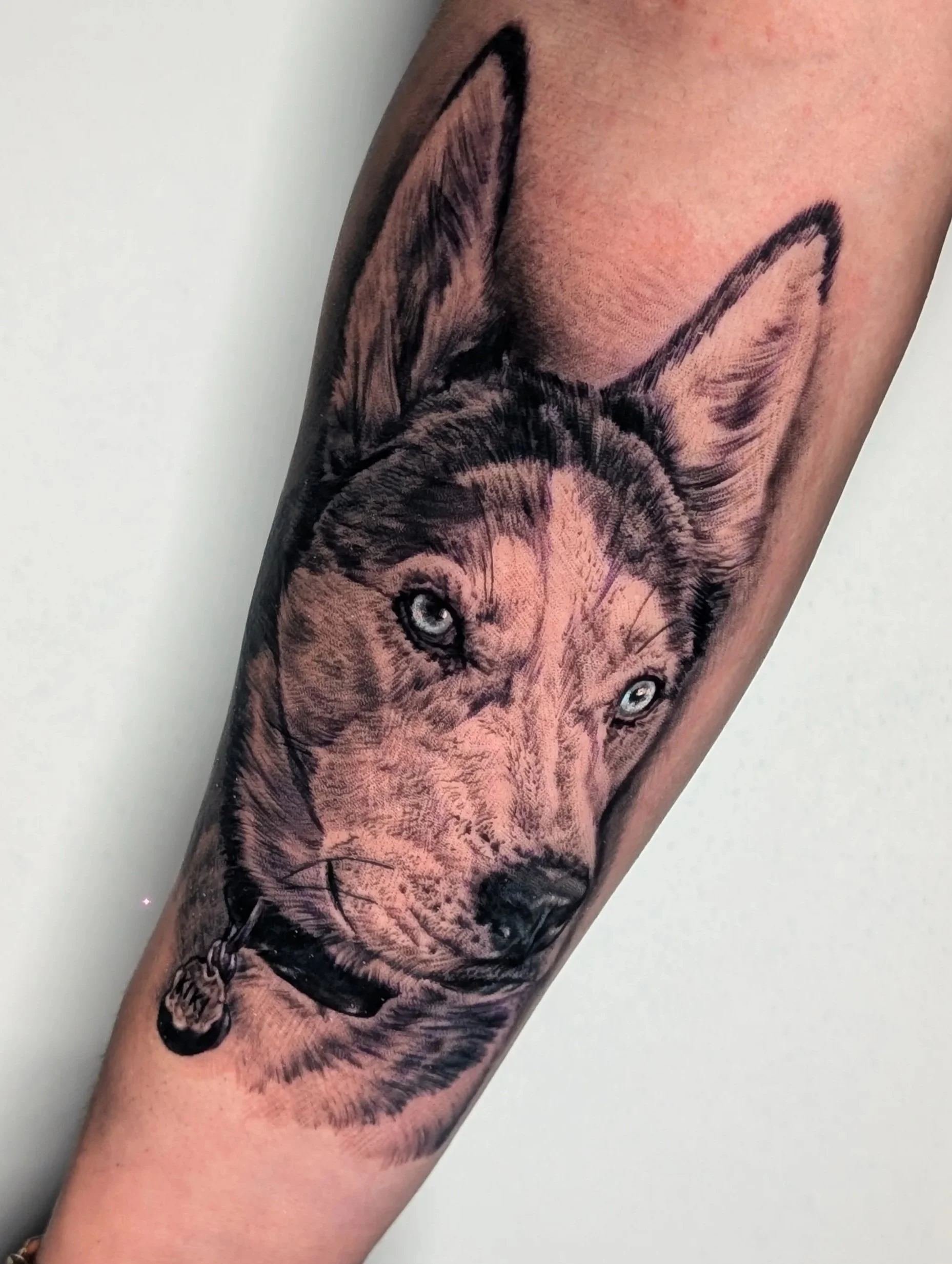 Husky Portrait Tattoo