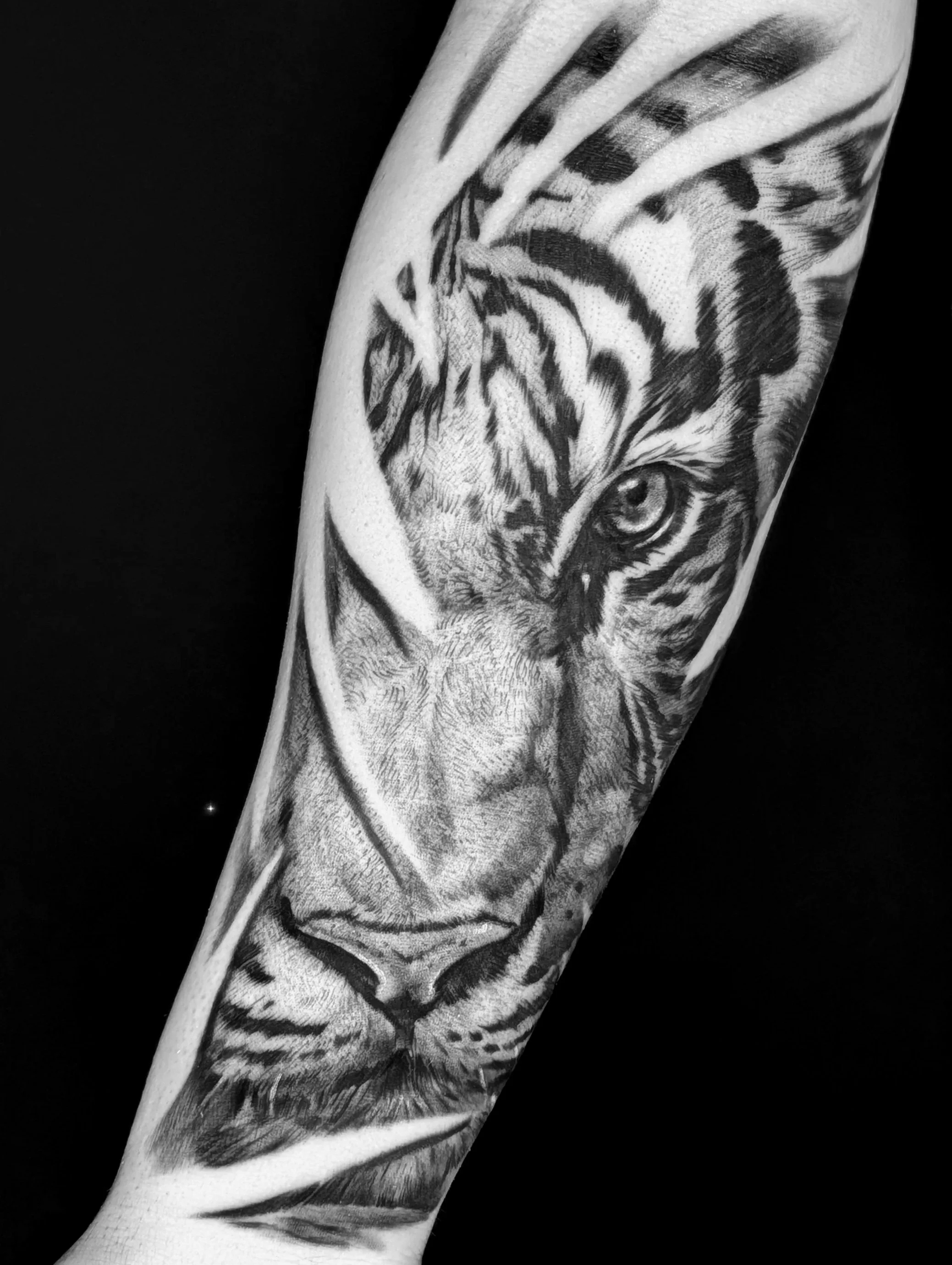 Realism Tiger Portrait Tattoo
