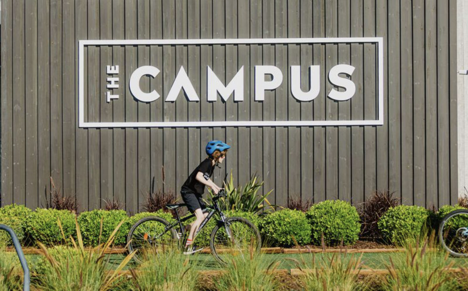 Screenshot 2026-03-31 at 16.04.07.png