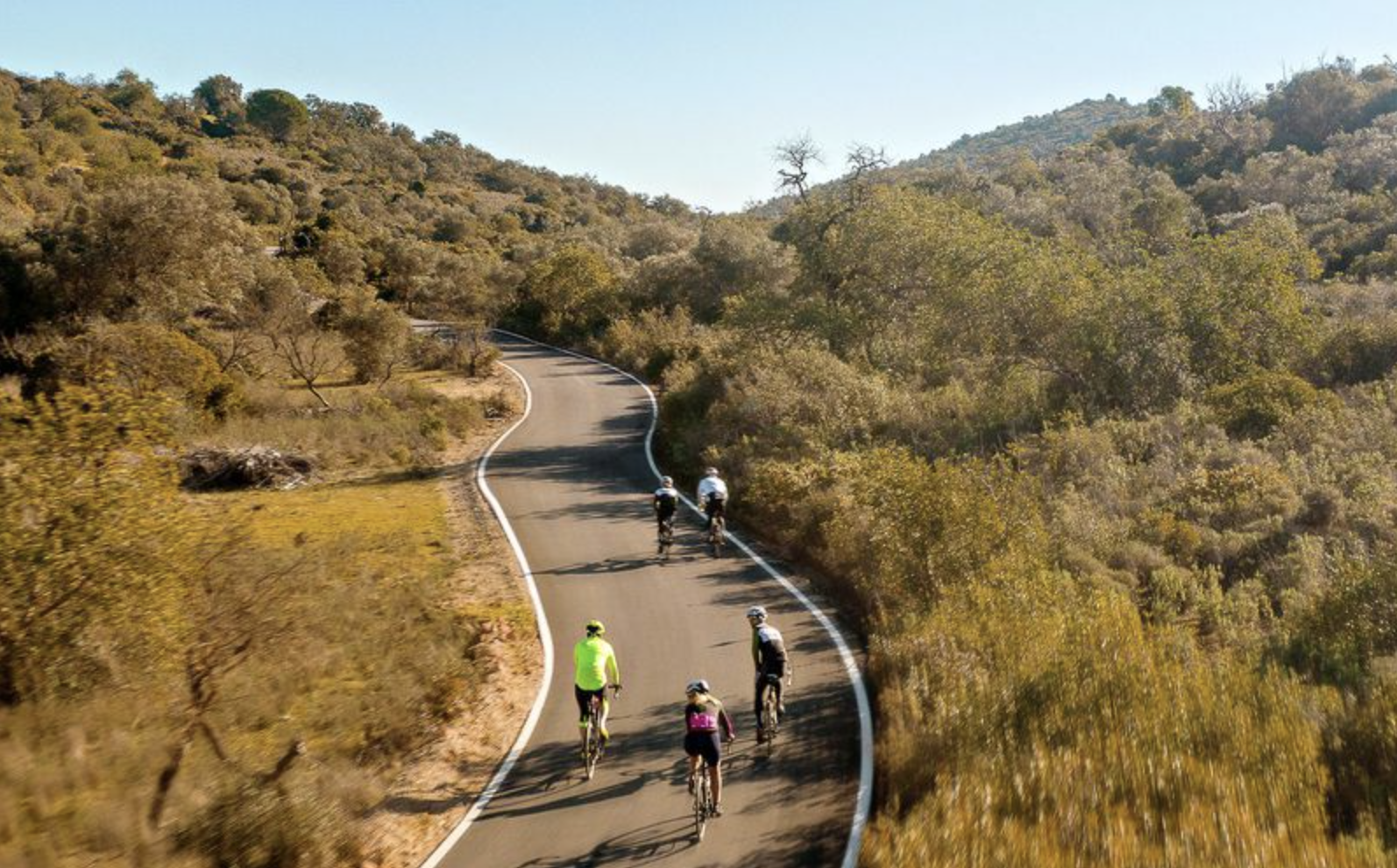 Screenshot 2026-03-31 at 16.03.57.png