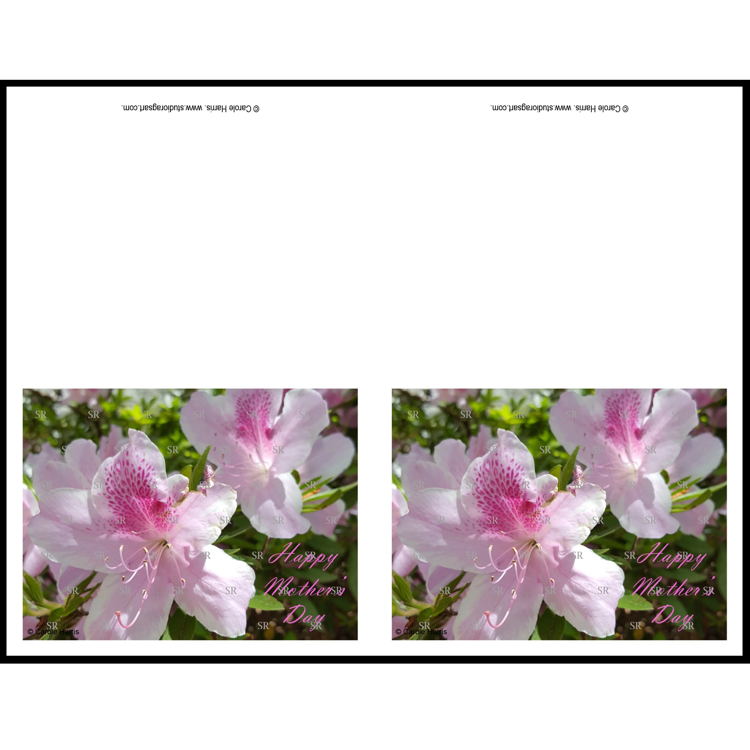 Happy Mother’s Day Note Card – White & Pink Azalea Photography – Printable PDF (2 Cards per Sheet)