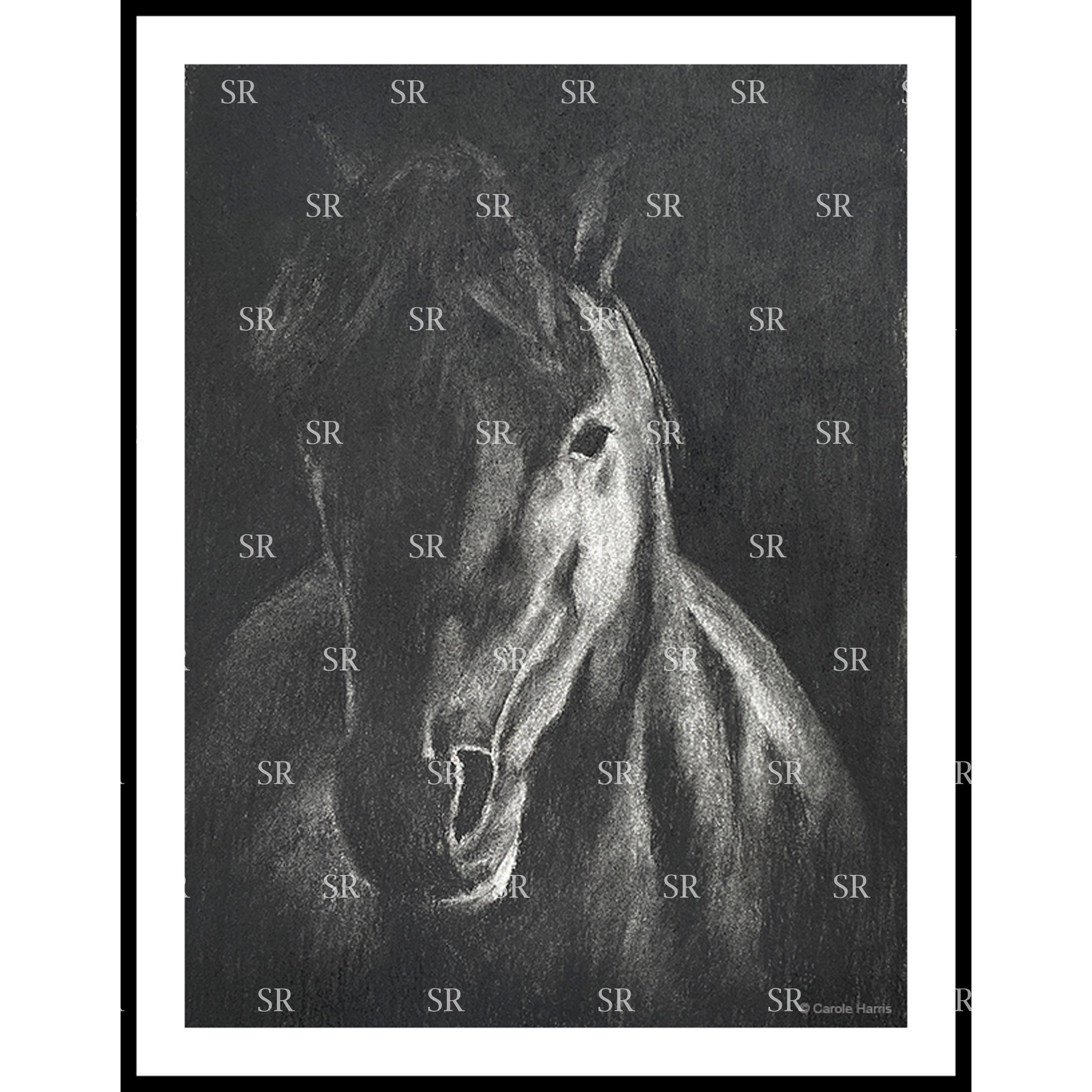 Charcoal Drawing of a Horse