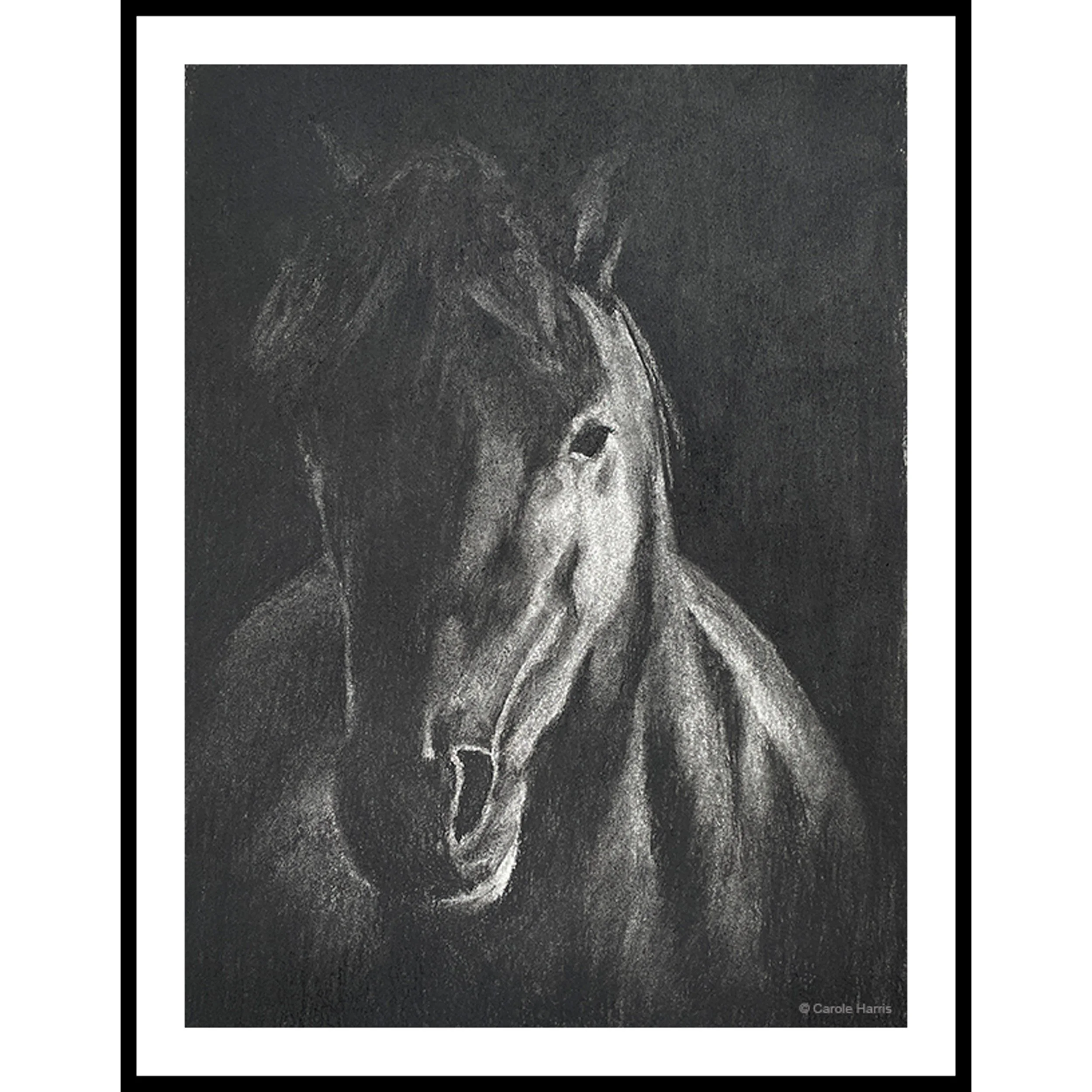 Charcoal Horse Thumbnail.jpg
