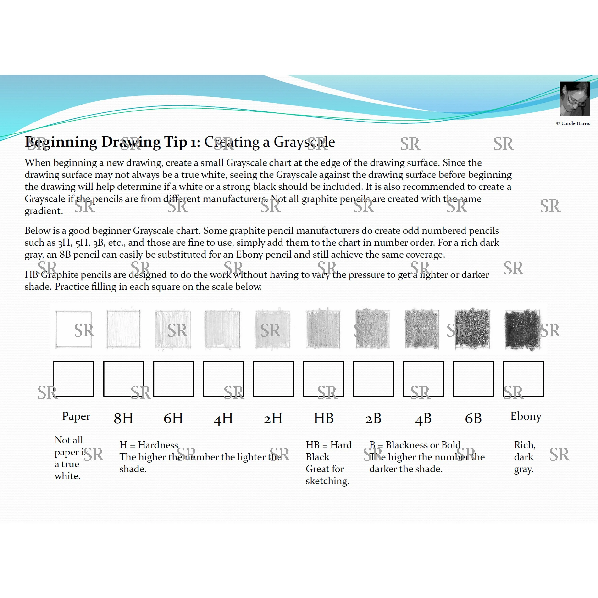 Beginning Drawing Tip 1: Creating a Grayscale