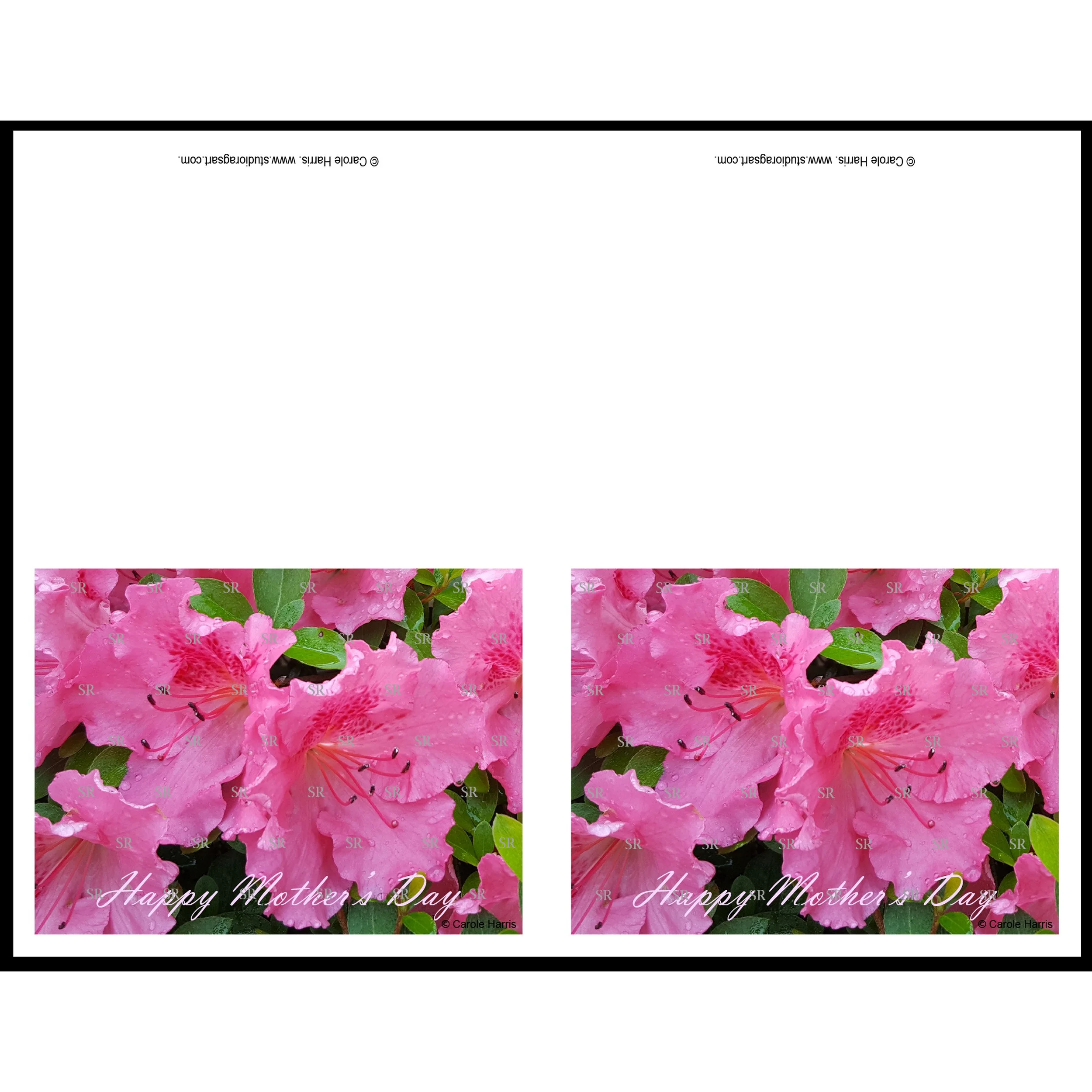 Happy Mother’s Day Note Card – Hot Pink Azalea Photography – PDF Digital Download (2 per Sheet)