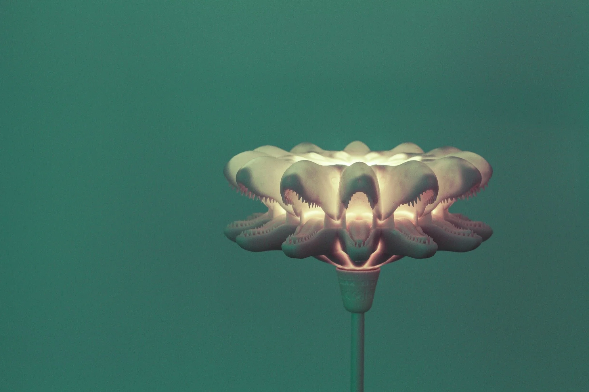 Dino Table Lamp_3D Printed_Lamp_Alan Nguyen_2013_1.jpg