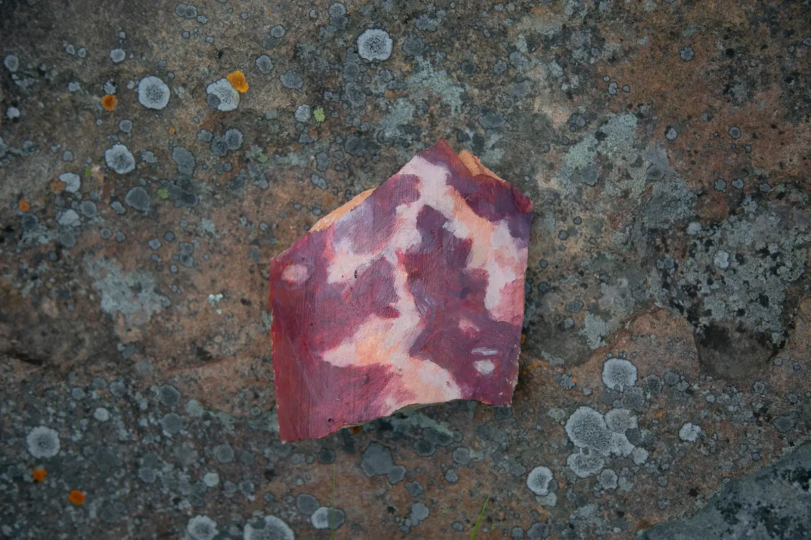 Corazón de tierra