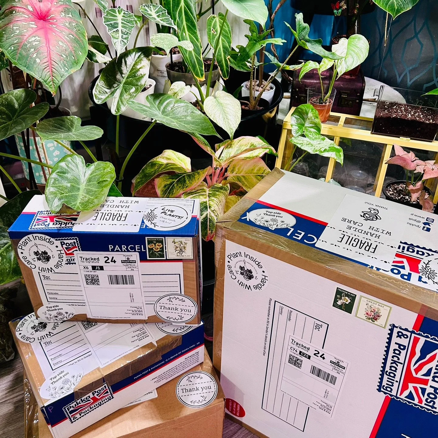 You guys have definitely been keeping me busy 🥰 So grateful and a little overwhelmed with how many orders have been coming in almost daily over the last month or so 🥹 (this is just a few pictures I&rsquo;ve managed to grab in a mad rush of packing 