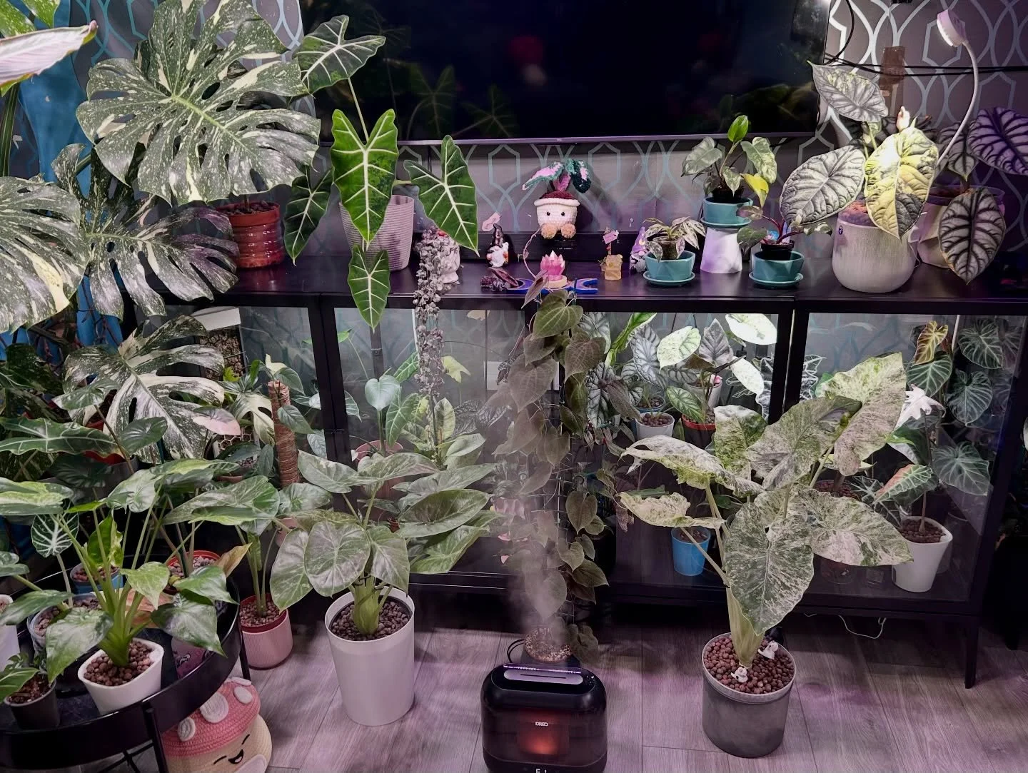 Heyy Everyone 🤗 
In case anyone noticed, I&rsquo;m sorry it&rsquo;s been a couple weeks &amp; we&rsquo;ve been a bit quiet! We had to take some time away from the business for family! 💚
But we&rsquo;re back, had a little rearrange &amp; sorting of 