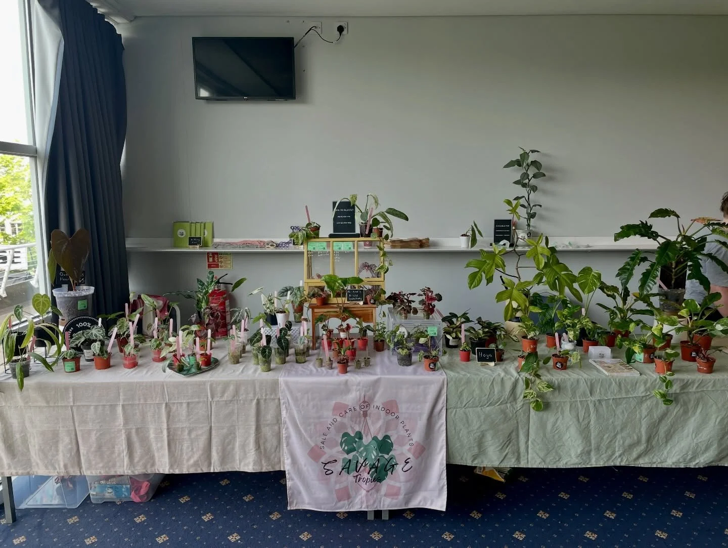 Had a great day yesterday, @invertshowsofficial lots of cool bug things, sooooo many bugs and of course more amazing vendors plus some really good bug talks!!

 Hope everyone else enjoyed themselves too 😁🪲🦋

A few birthday treats to myself as well