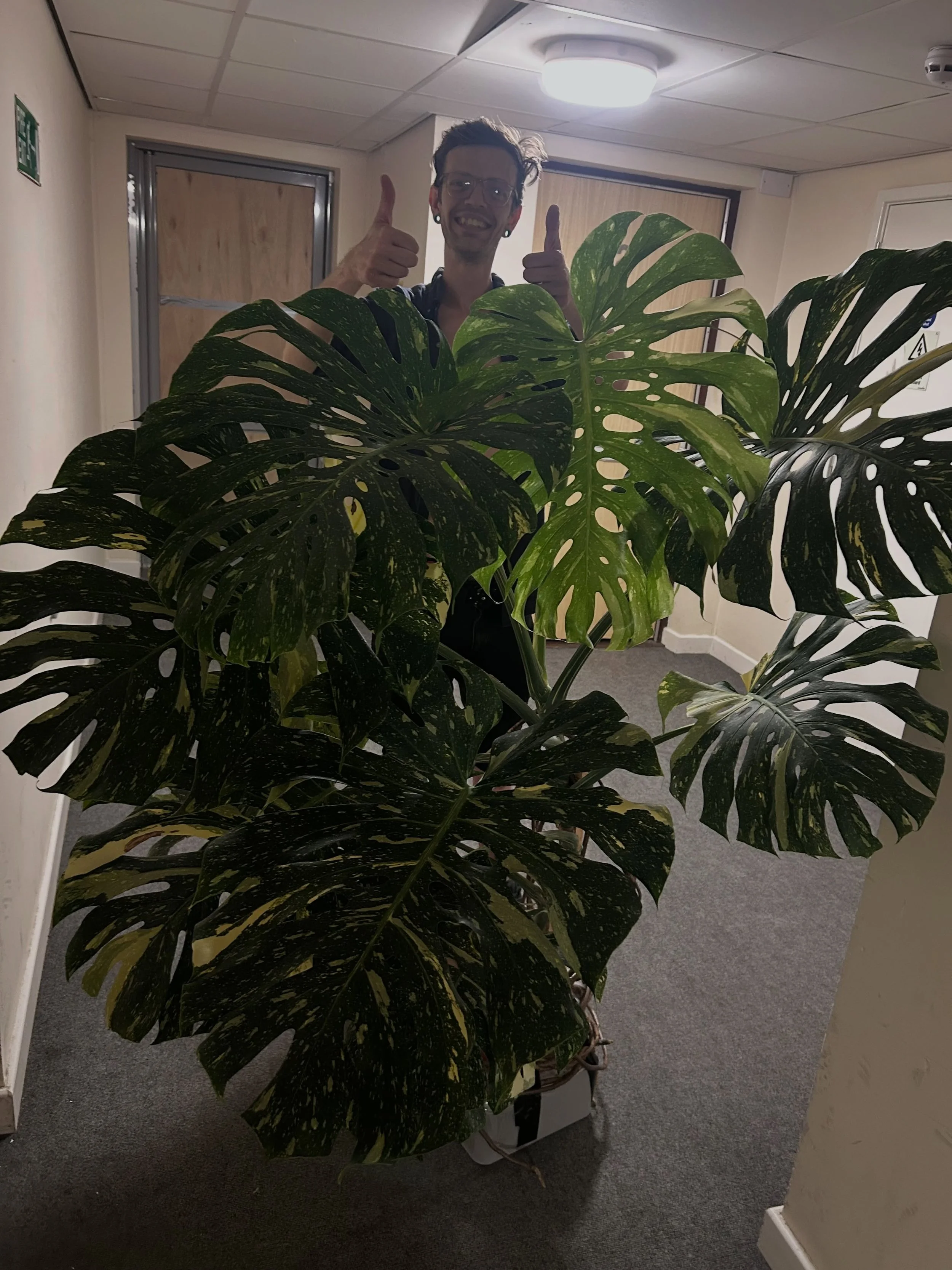 Had a great day @rareandspecialistplantfairsuk yesterday 🤩😮&zwj;💨 
Thank you to all the people who came to see us, you guys definitely kept us busy &amp; it was amazing to see so many returning faces and people we&rsquo;ve spoken to over the last 