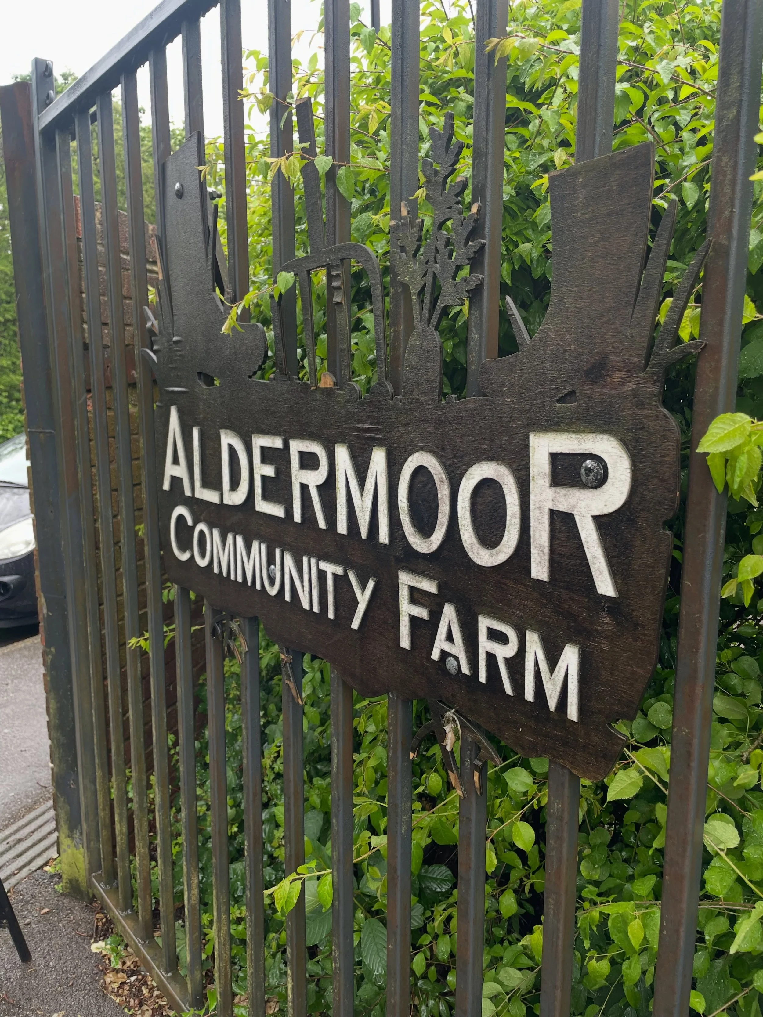 If you&rsquo;re in Southampton definitely go check out @aldermoorcommunityfarm they have a cute little place to sit &amp; have coffee, local home made cake, cold fresh milk, fresh eggs, plus an emporium to shop and of course fruit, veg, homemade soap