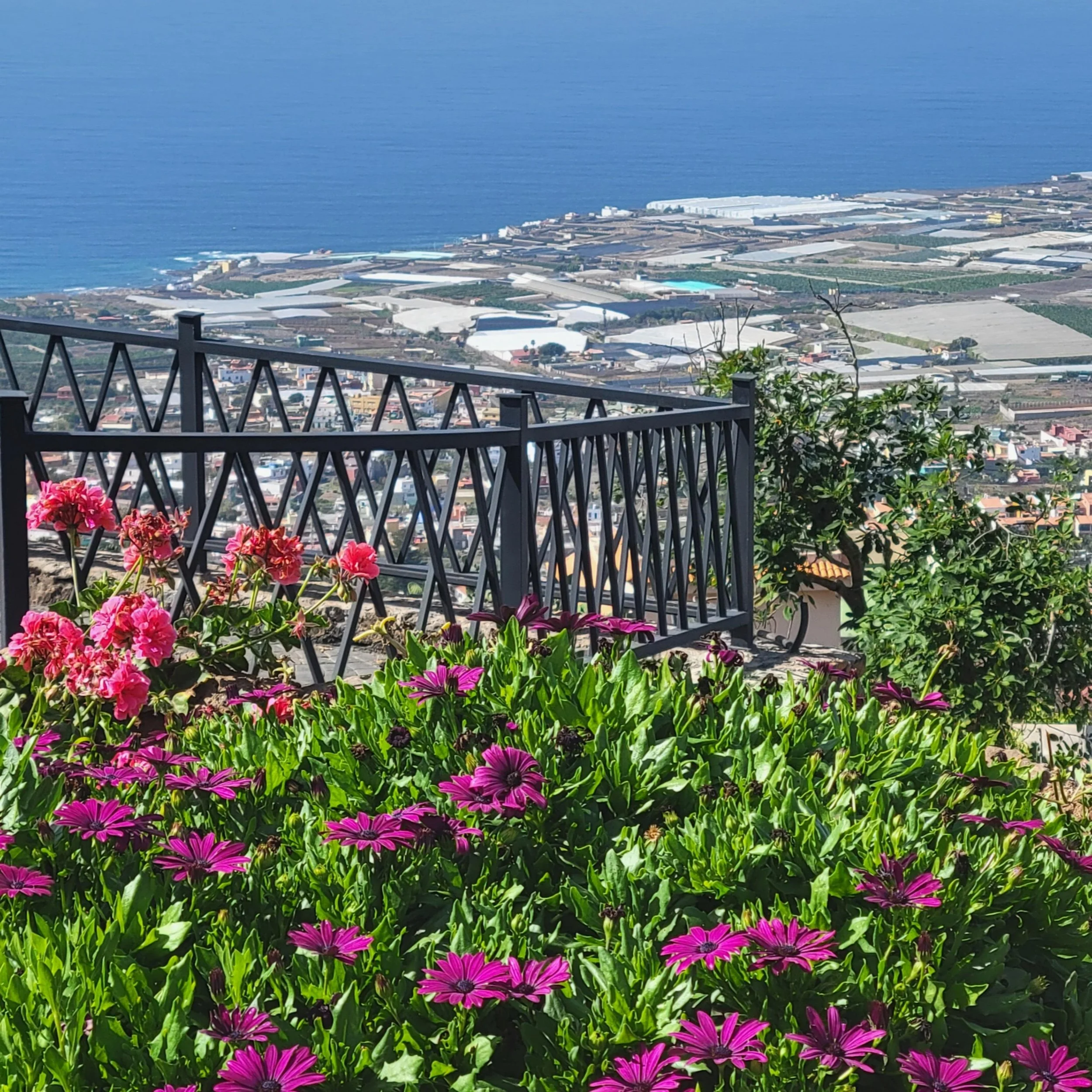 Vista patio.jpg