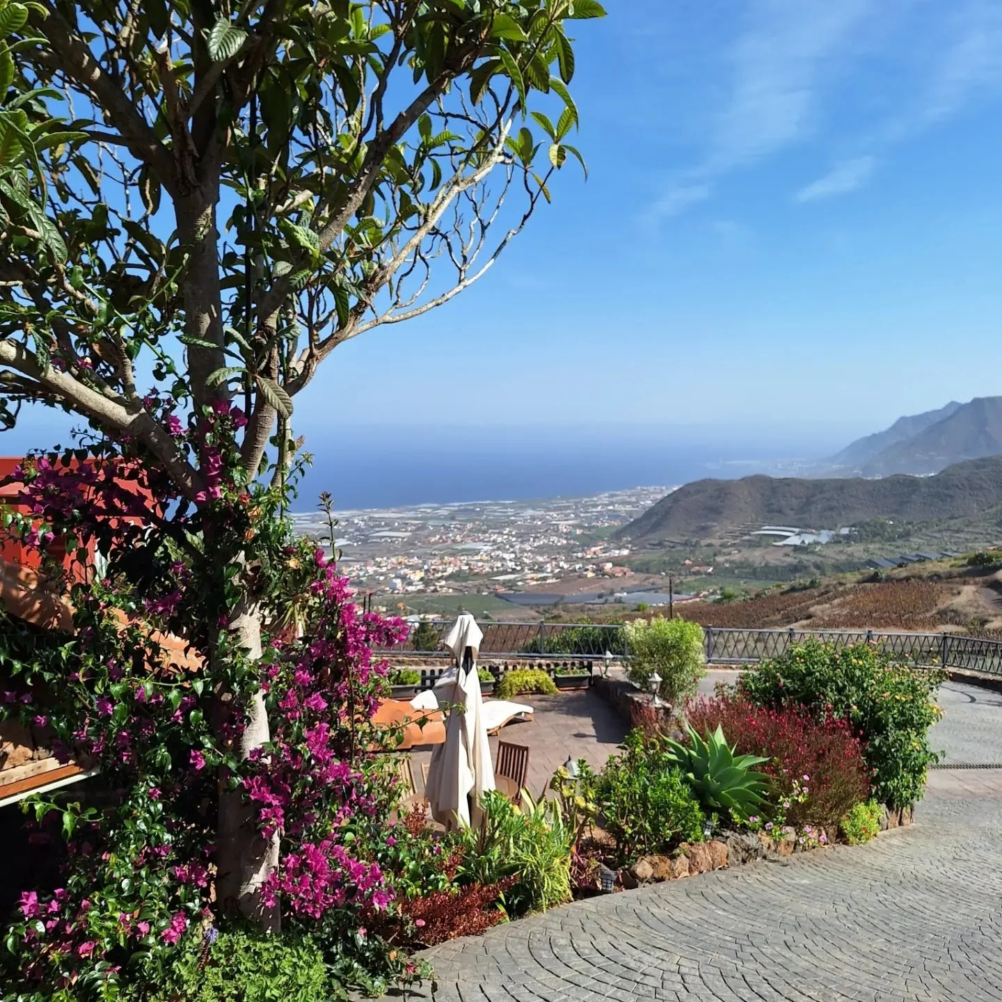 view from driveway.jpg