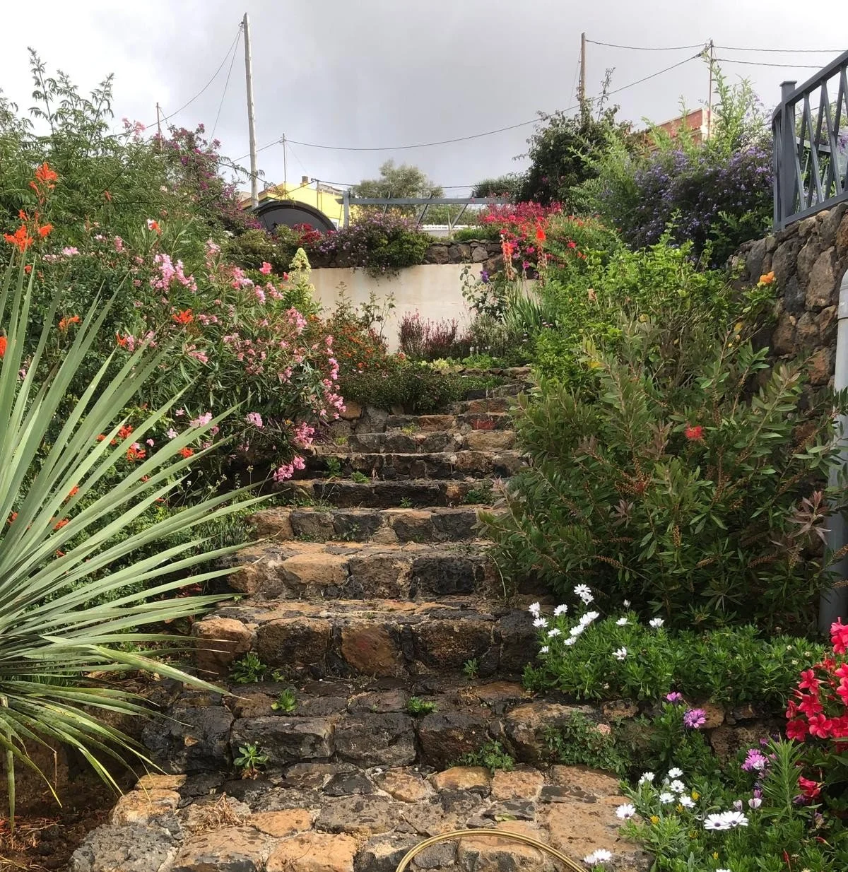 stairs photo.jpg