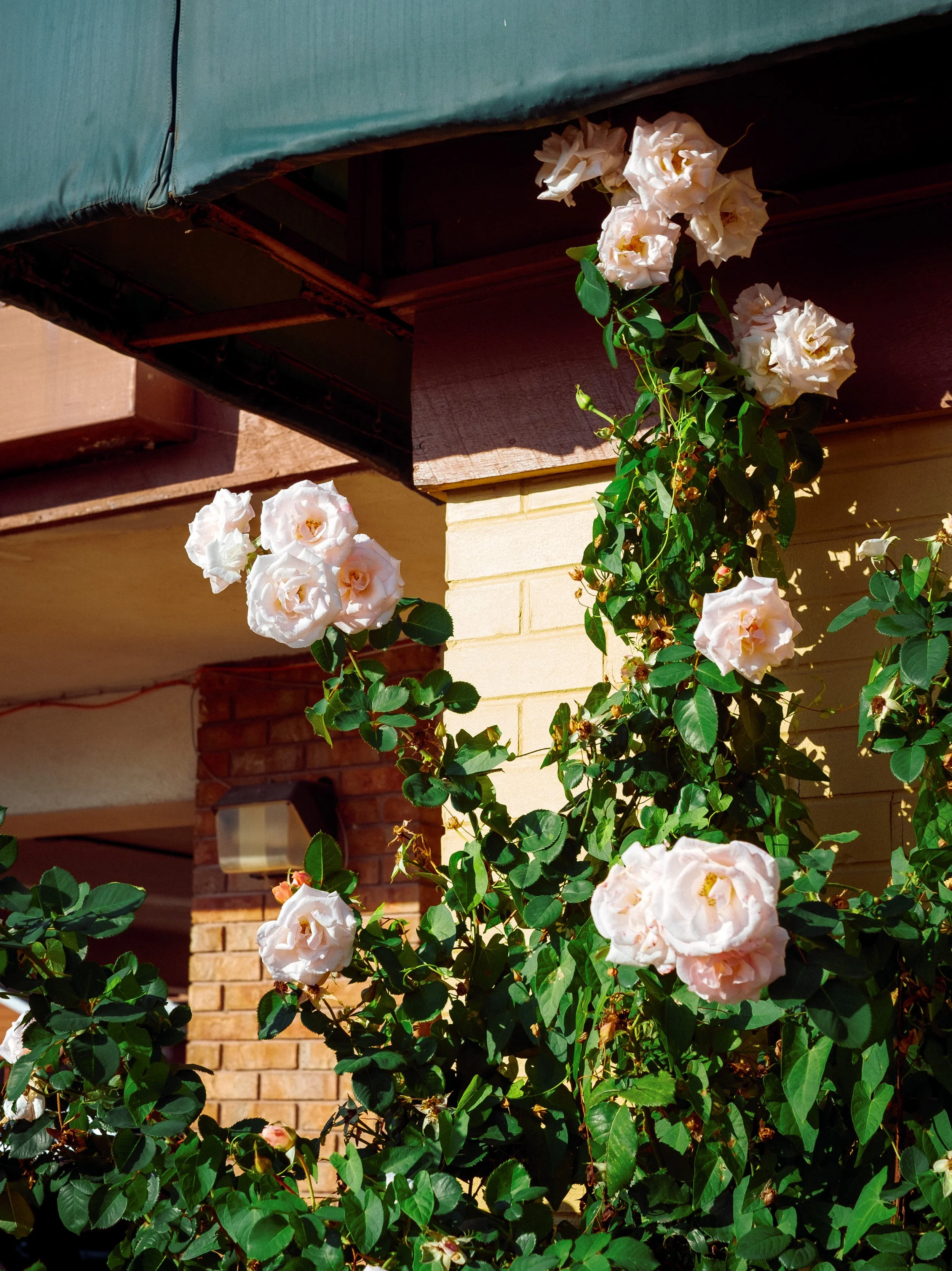 Everything_Else_2025-03.jpg