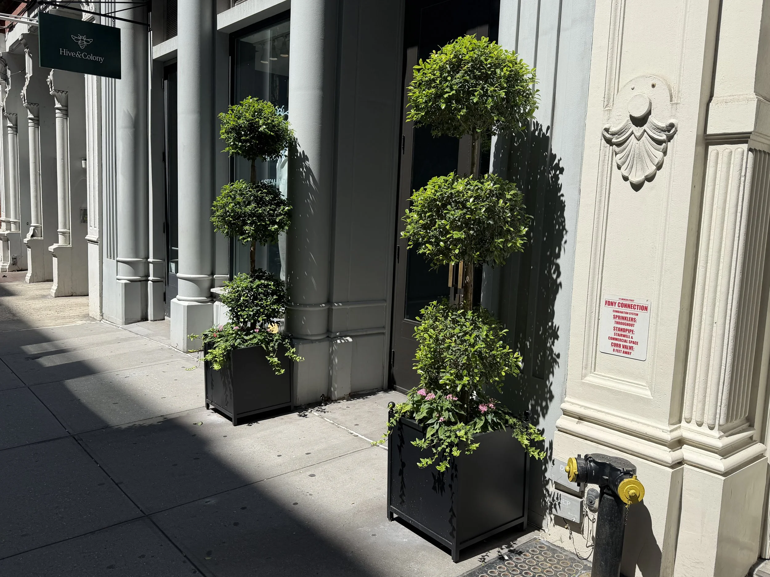 SOHO