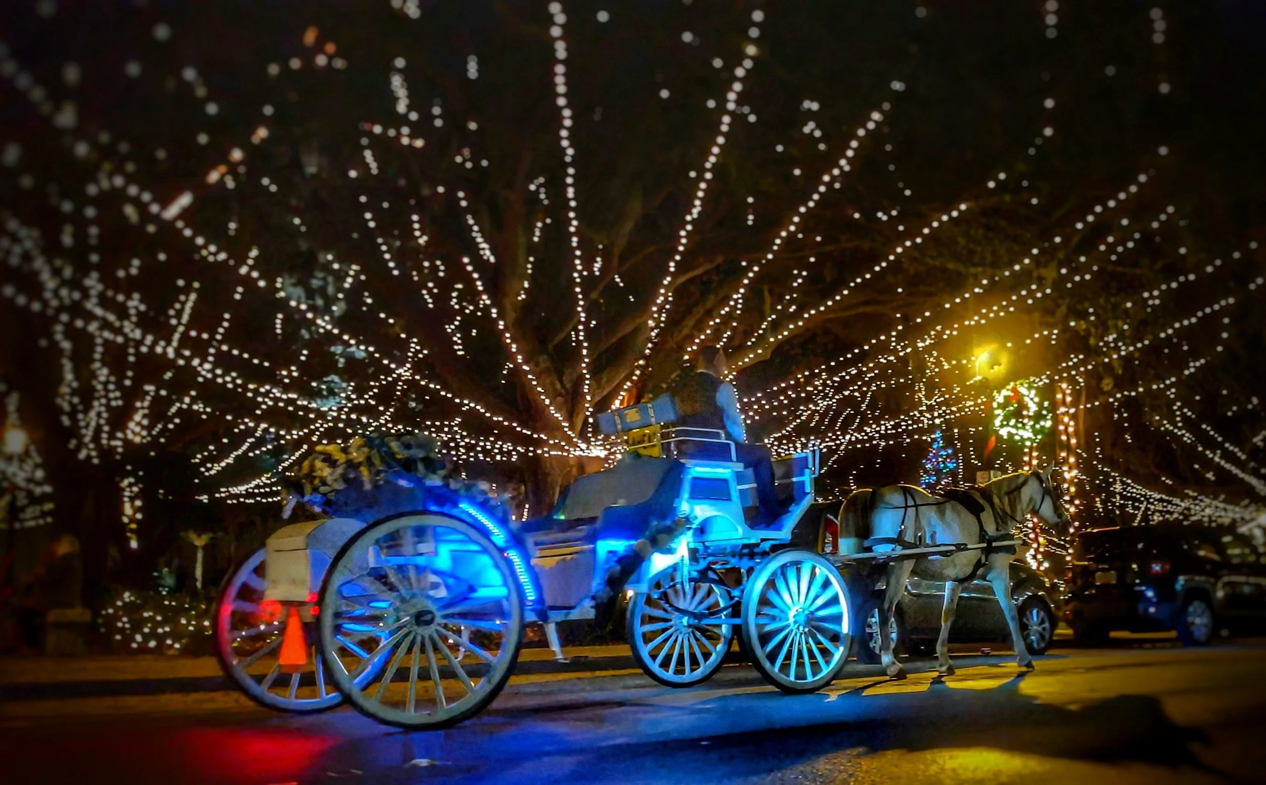 Coastal Carriages of St. Augustine