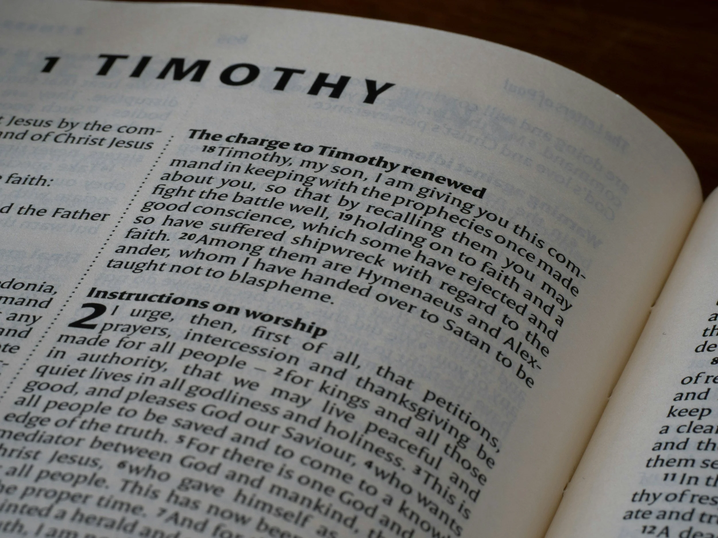 Etimologías de lo cotidiano