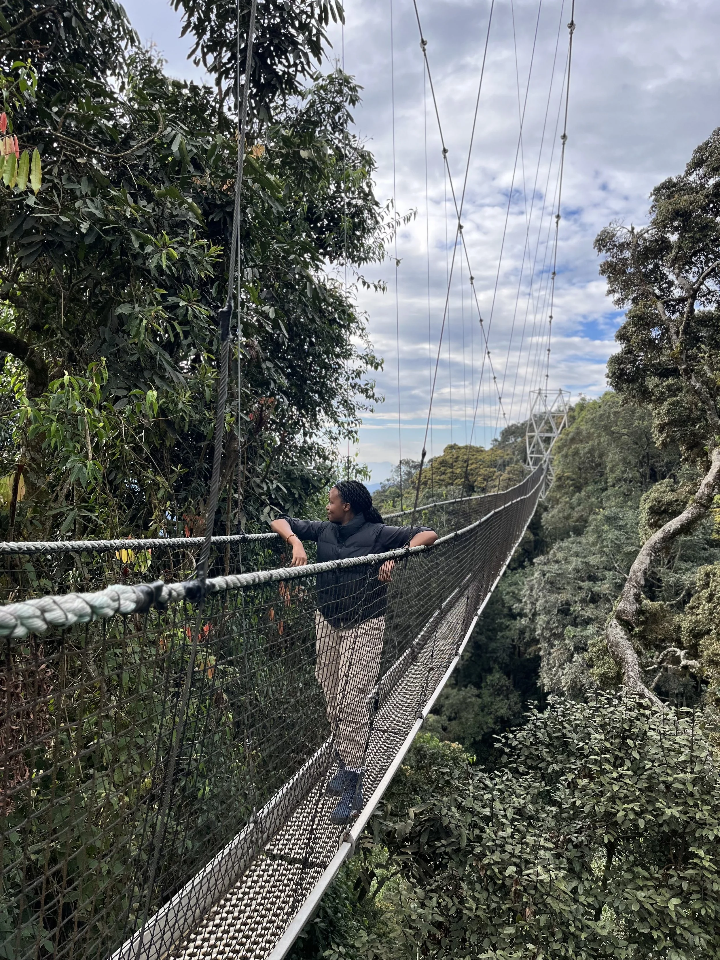 Canopy Walkway in Nyungwe