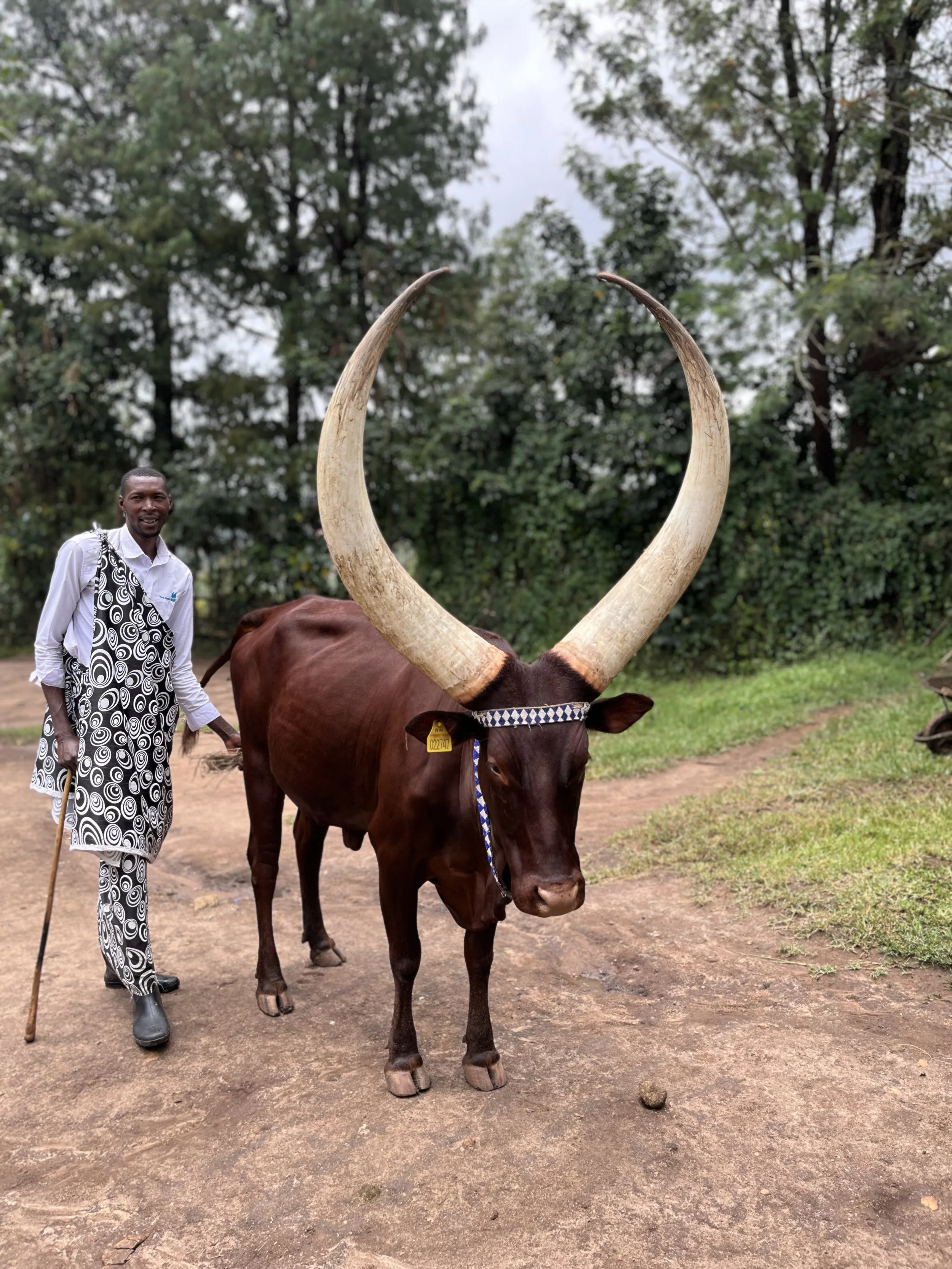 King's Palace Museum Nyanza