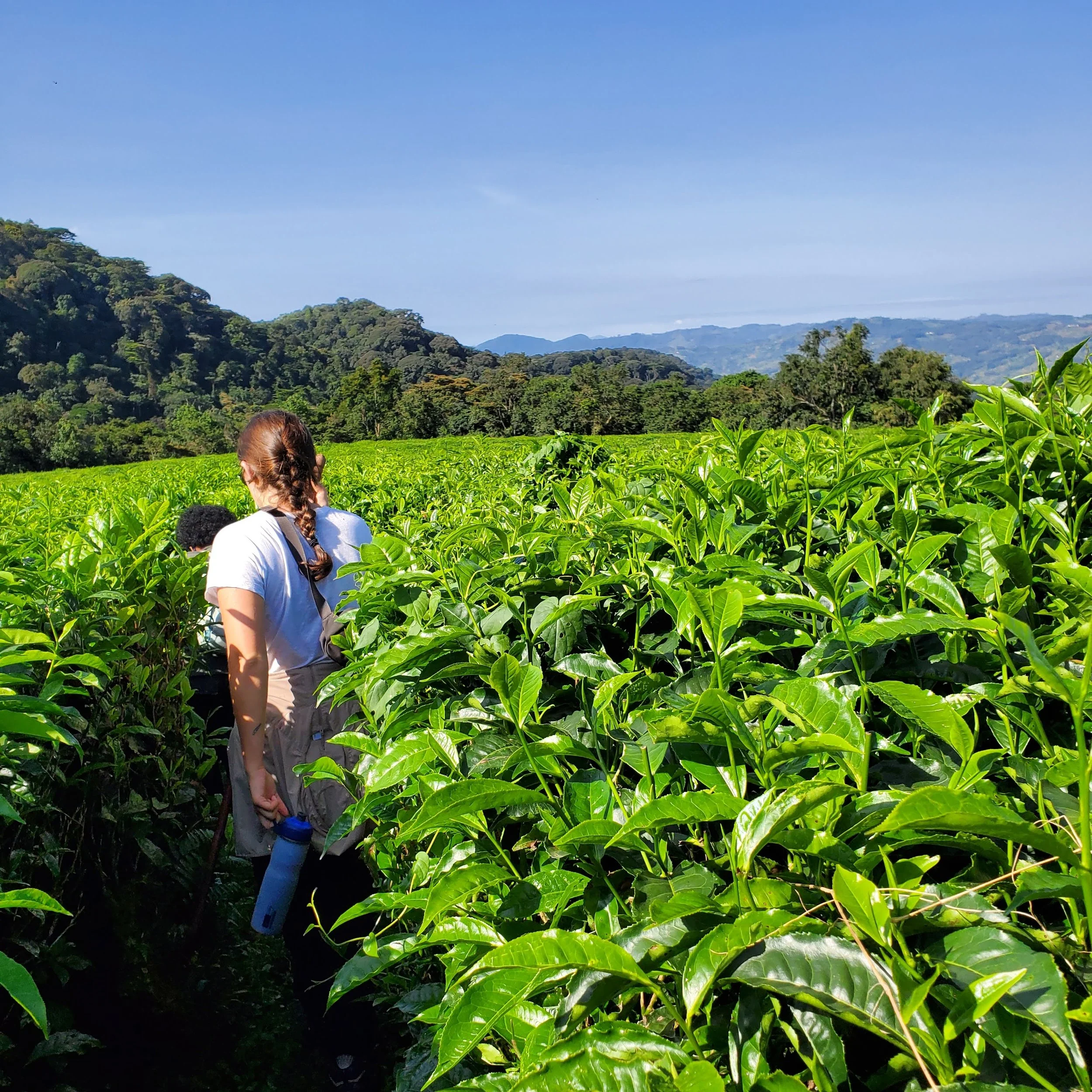 20220301_084744 (1).jpg