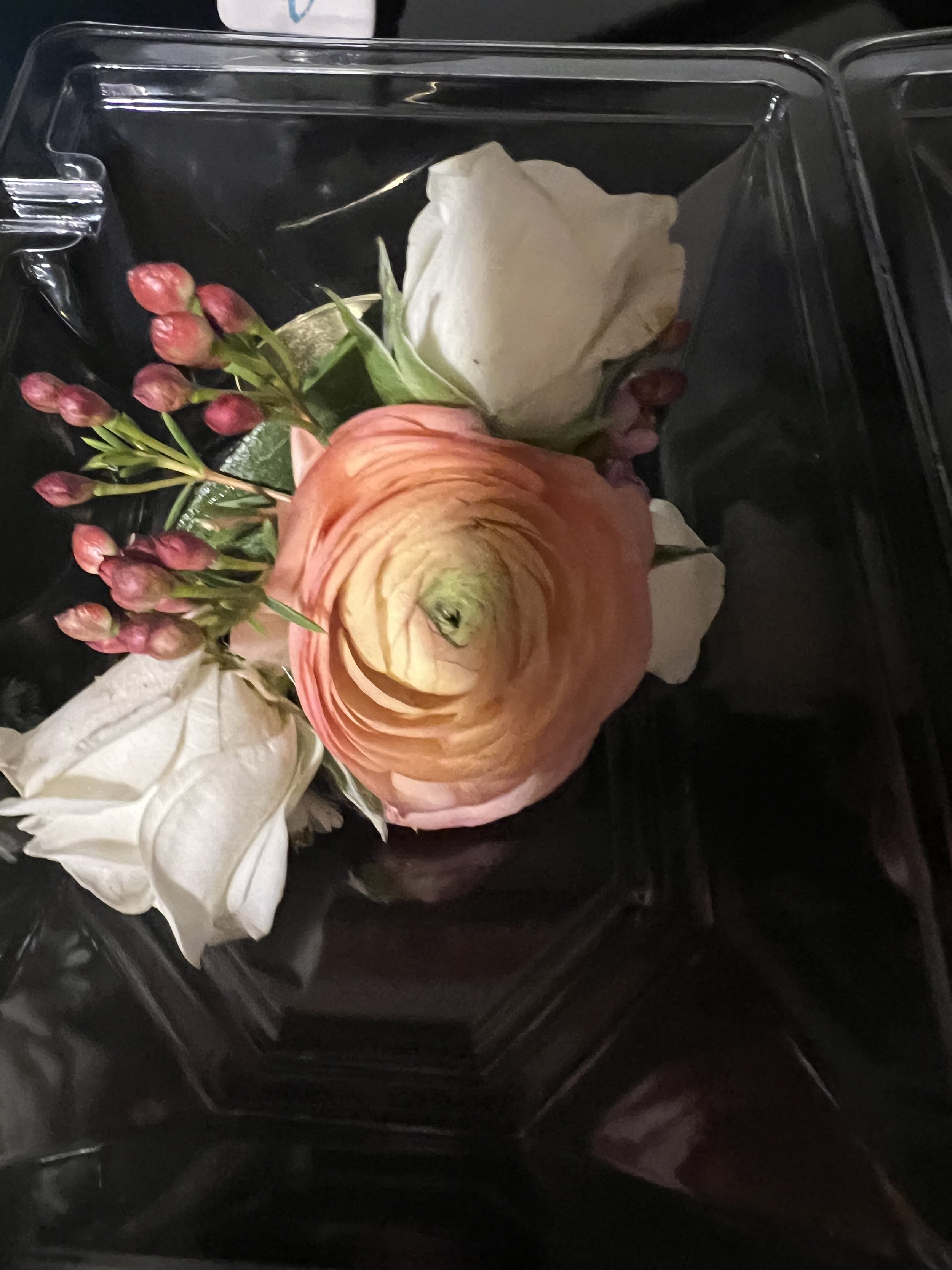 IMG_1930.jpeg