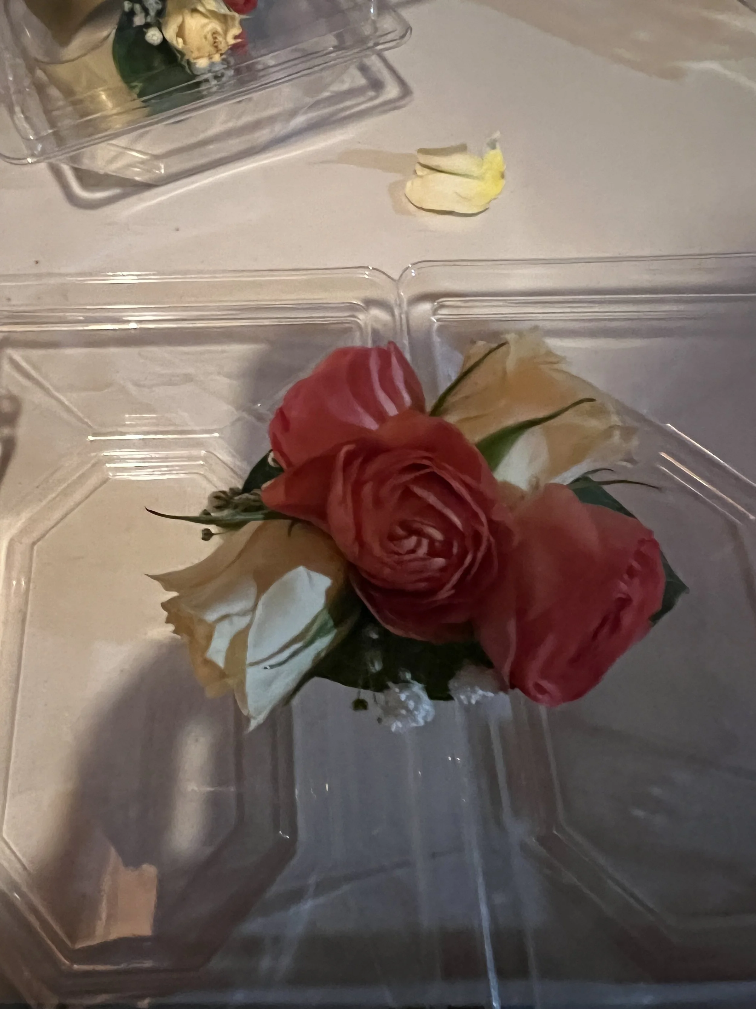 IMG_2022.jpeg